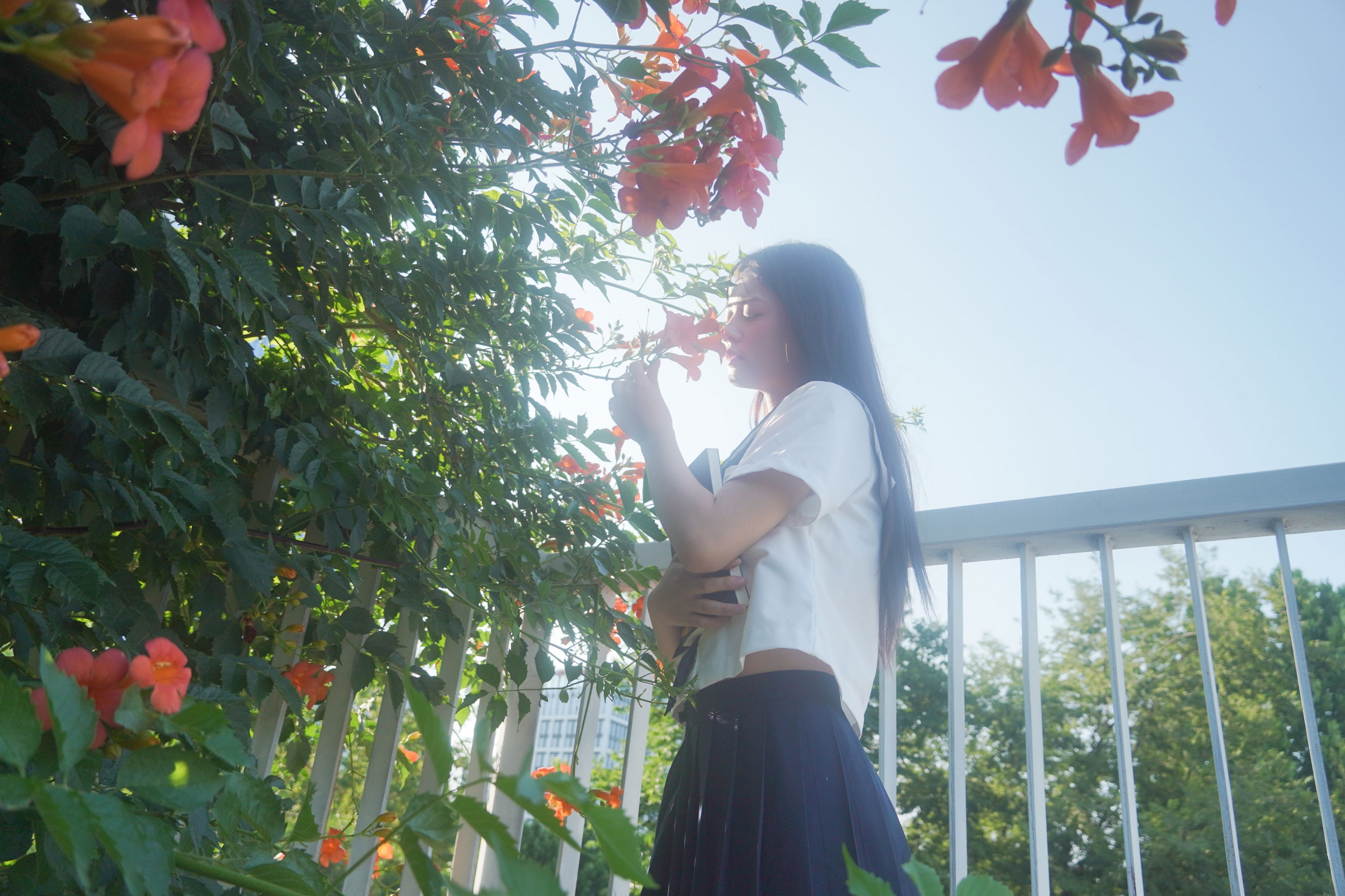  – 《凌霄花开》[12P] 插图4