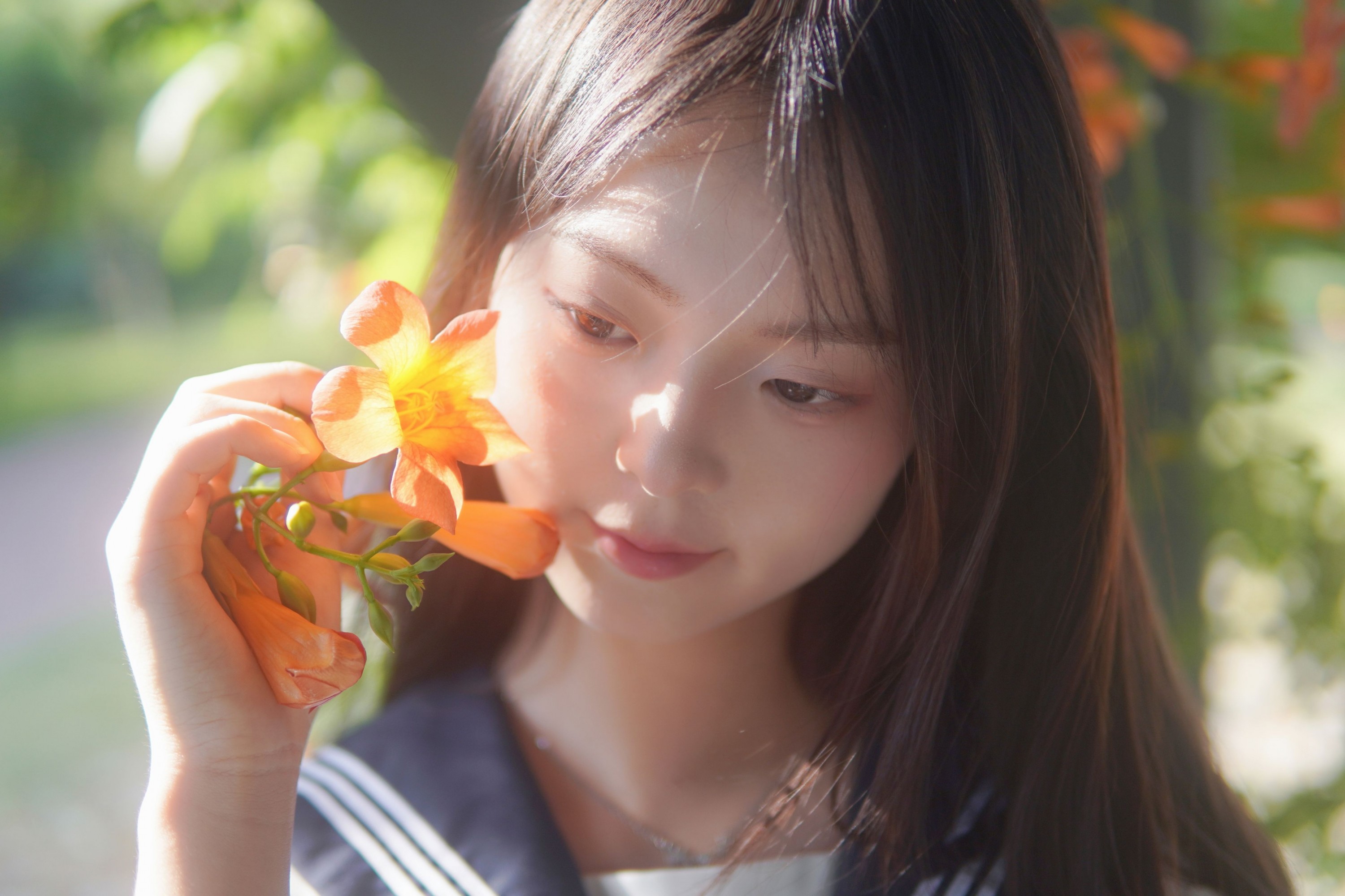  – 《凌霄花开》[12P] 插图3