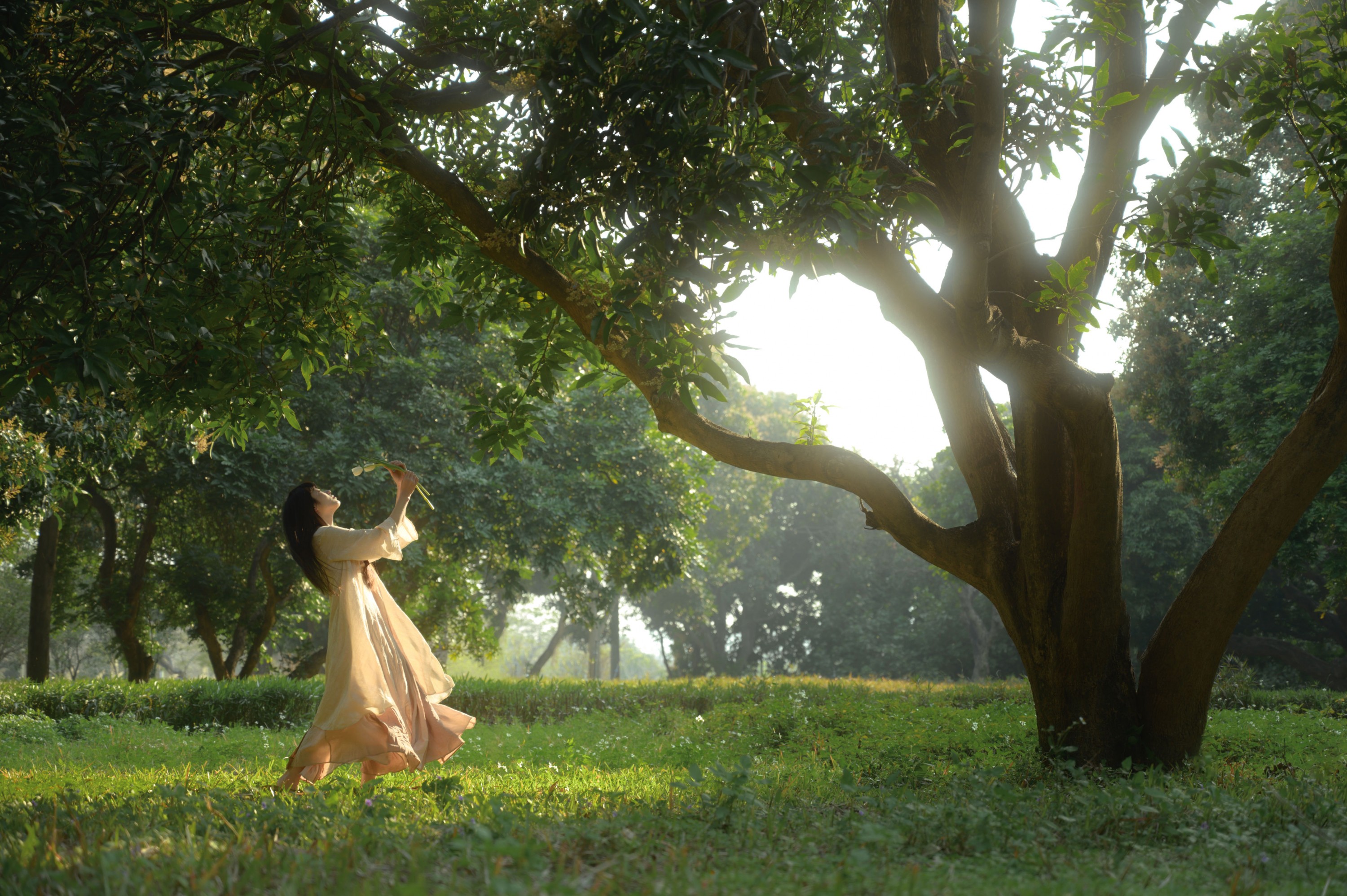 山野小果 – 《光与郁金香》[20P] 插图3