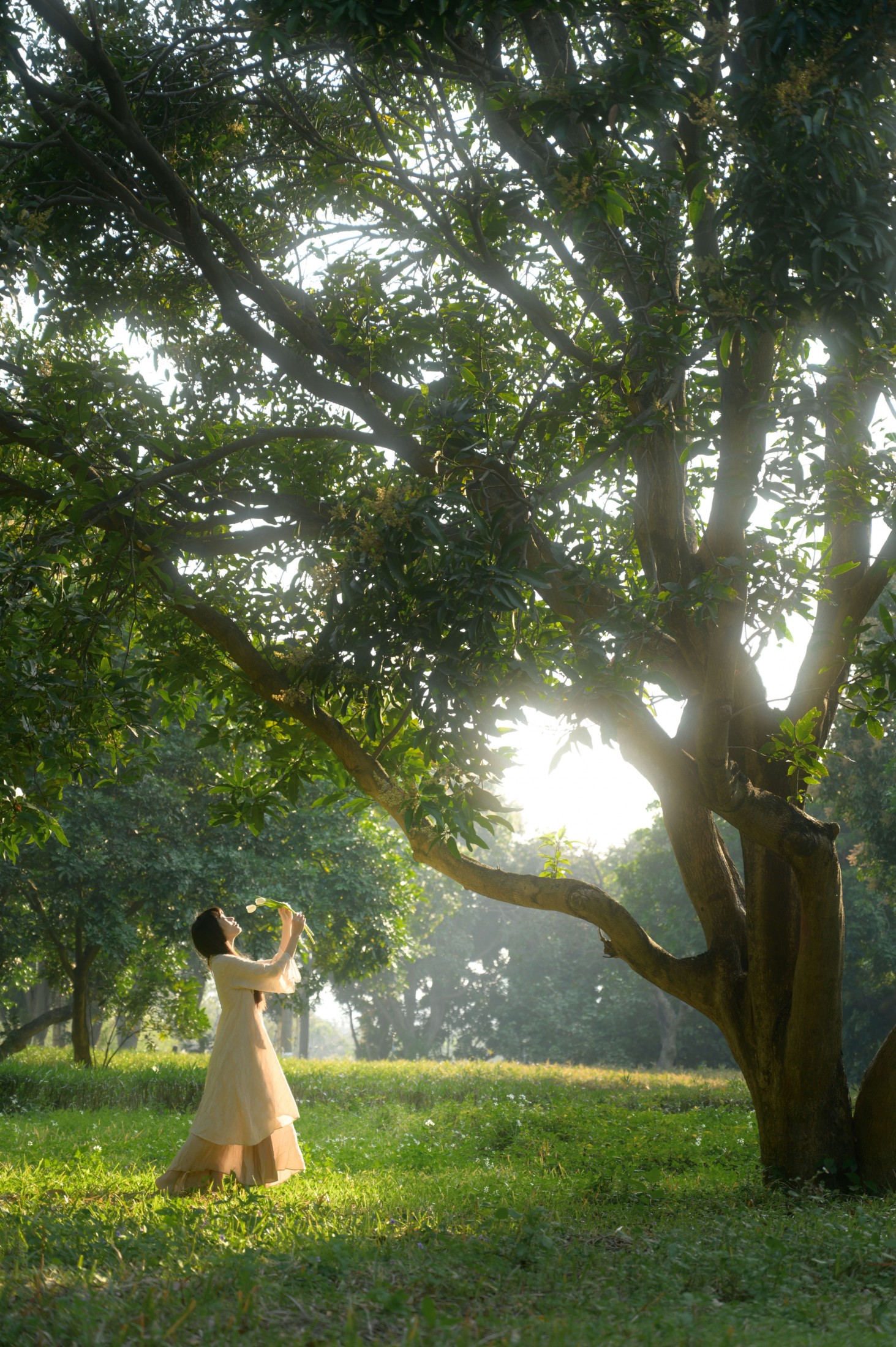 山野小果 – 《光与郁金香》[20P] 插图4