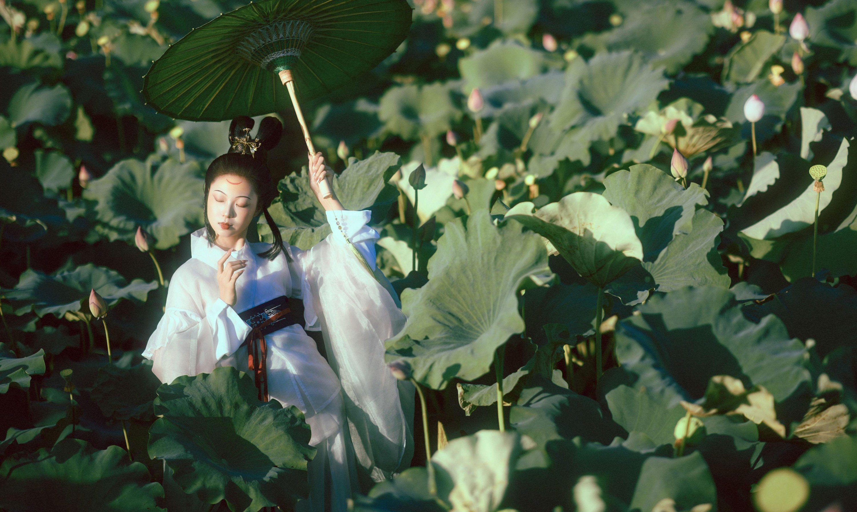 有有。 – 《晚荷》[37P] 插图2