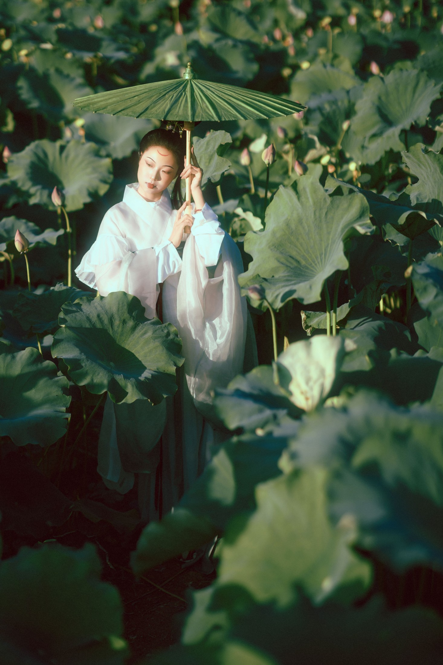 有有。 – 《晚荷》[37P]-66COS