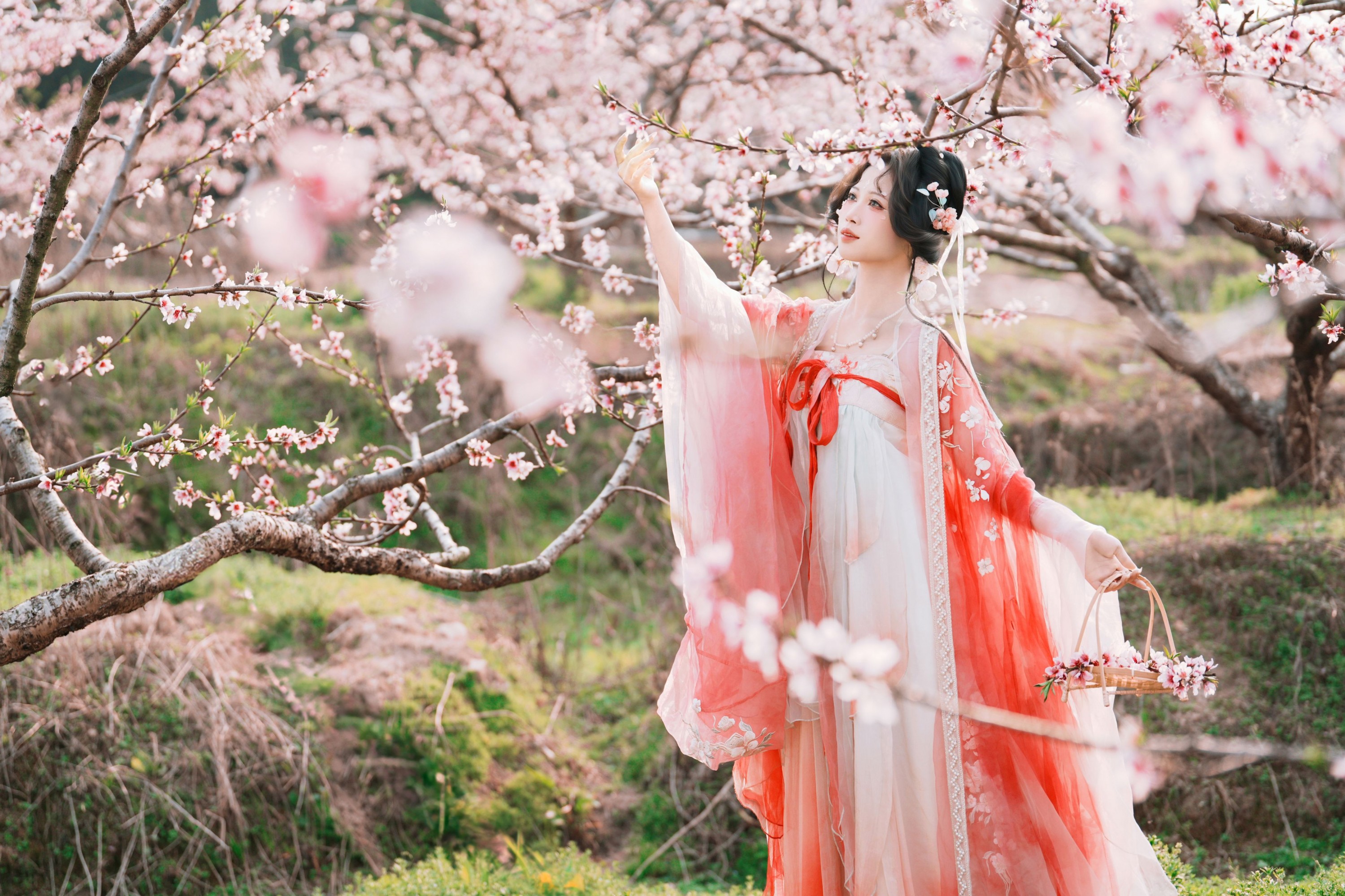 夏煦 – 《古风桃花人像》[19P] 插图5