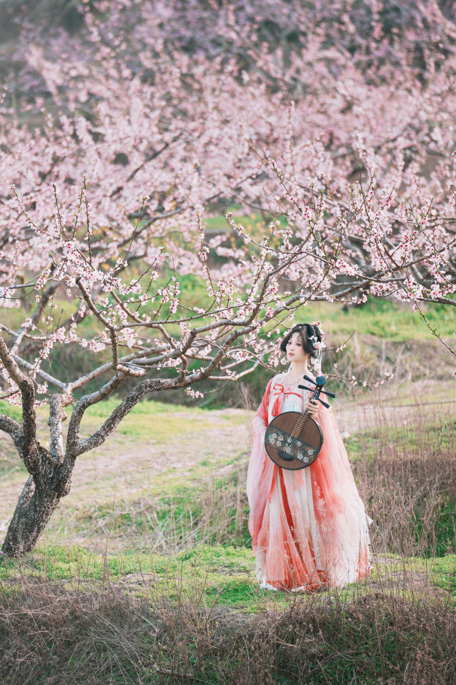 夏煦 – 《古风桃花人像》[19P]-66COS