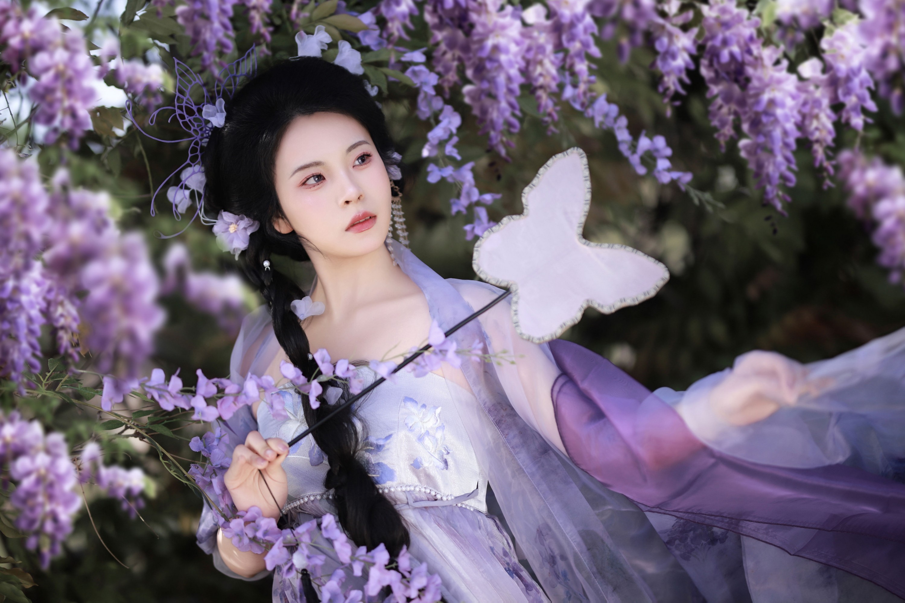  – 《紫藤花开》[11P] 插图5