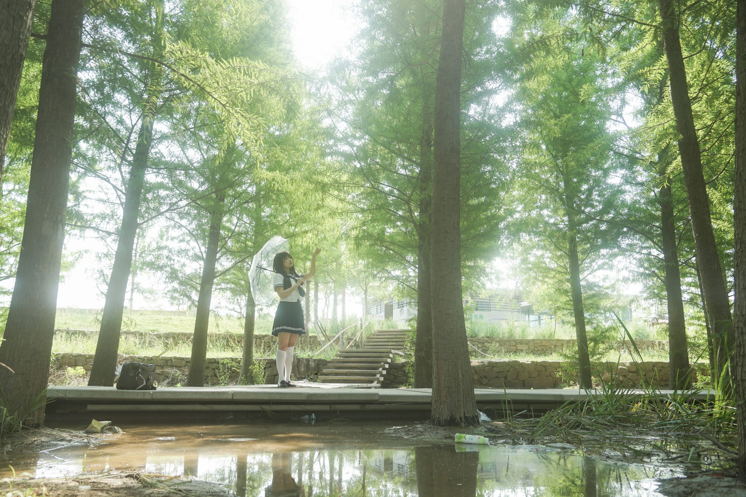  – 《树是另一种形式的海》[11P] 插图5