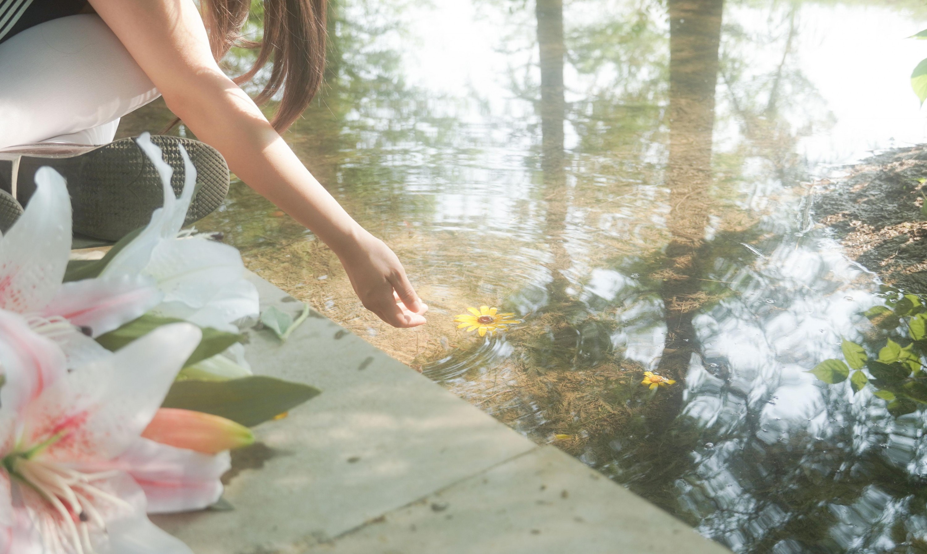  – 《树是另一种形式的海》[11P] 插图2