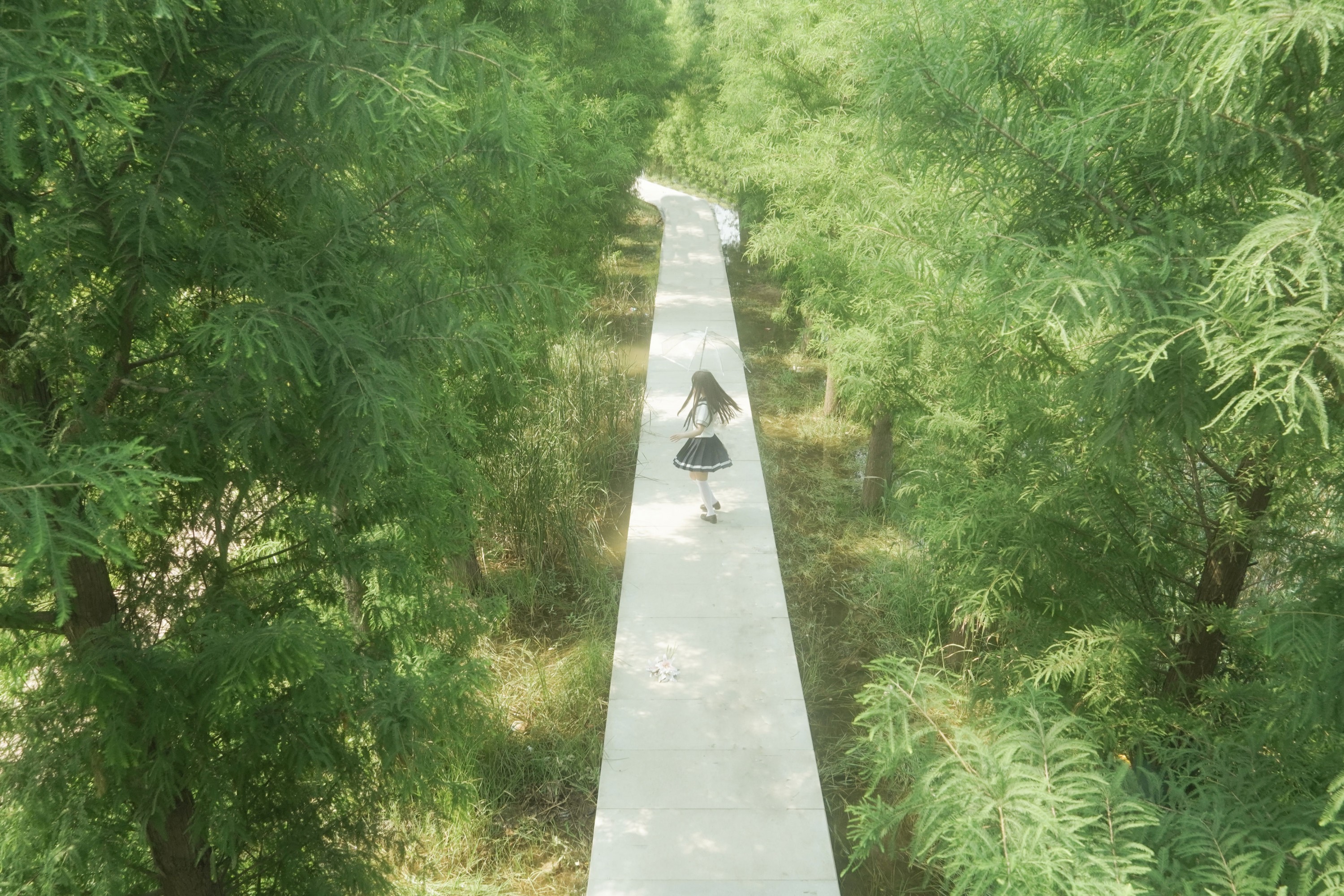  – 《树是另一种形式的海》[11P] 插图3