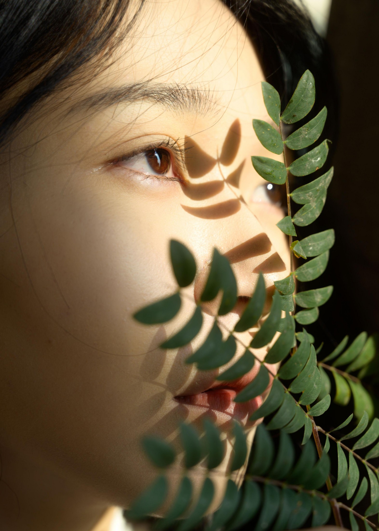 米饭 – 《海边的房子》[21P] 插图2