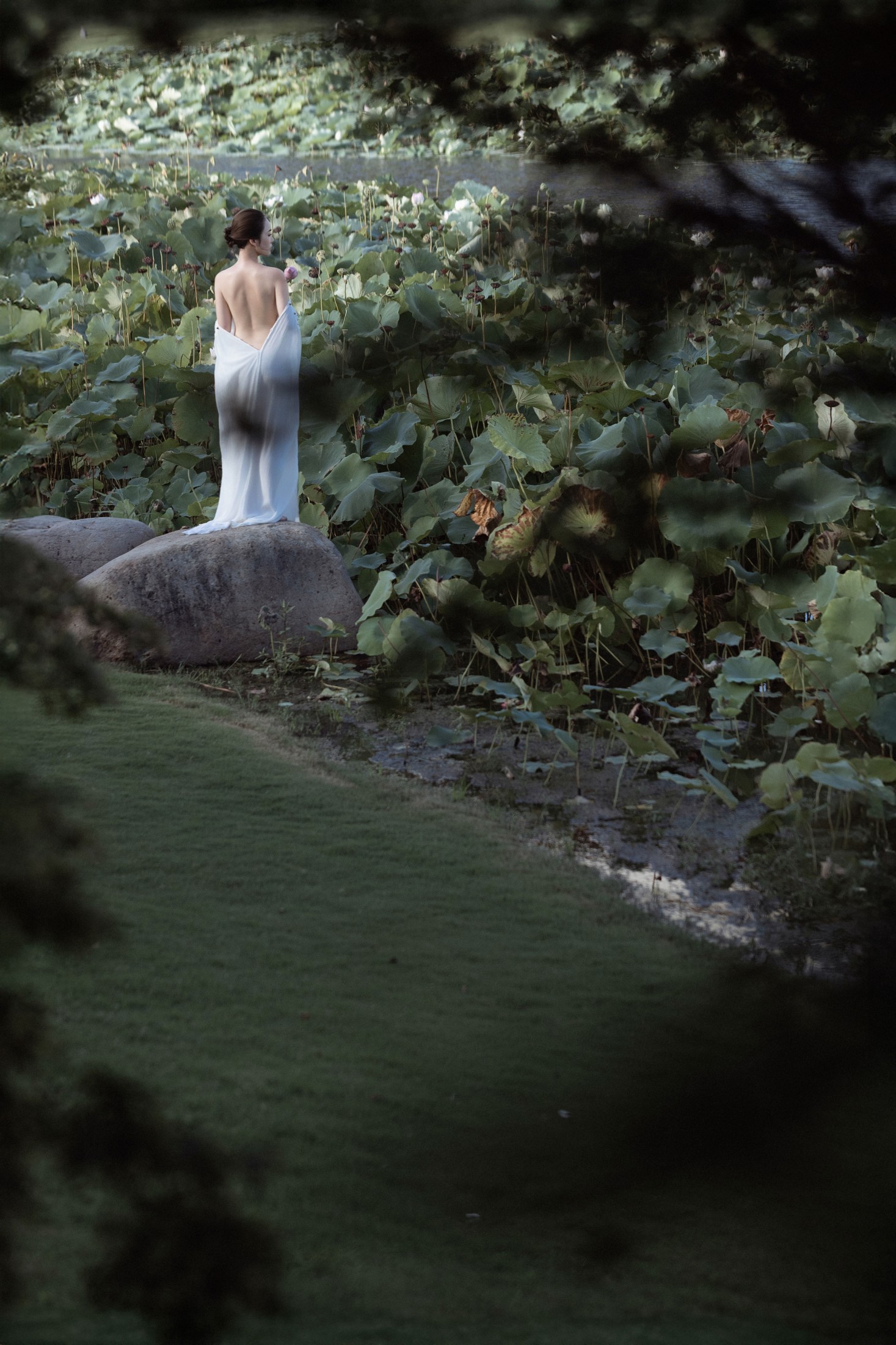 Hanhan – 《莲·生》[37P] 插图5