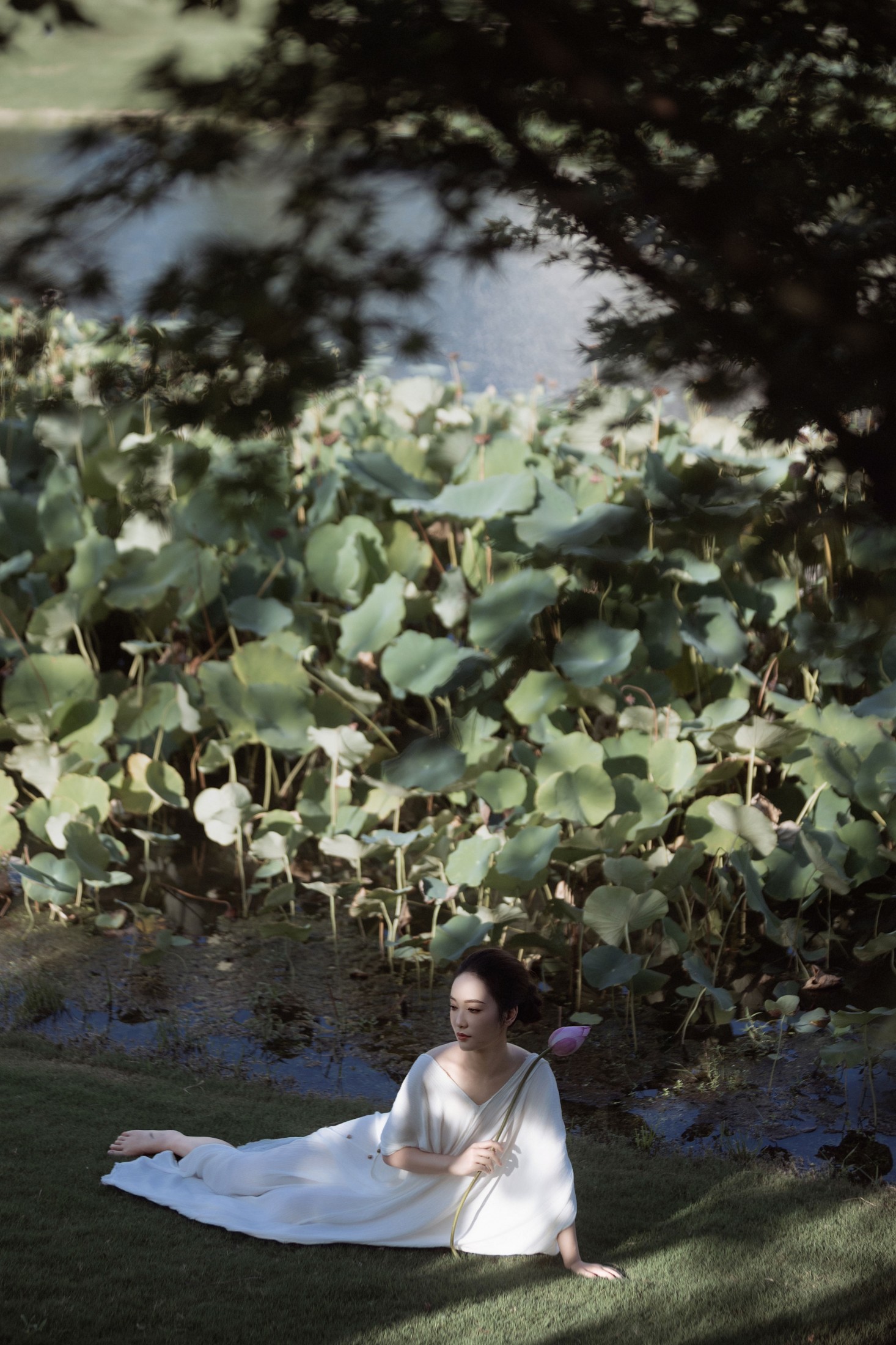 Hanhan – 《莲·生》[37P] 插图4