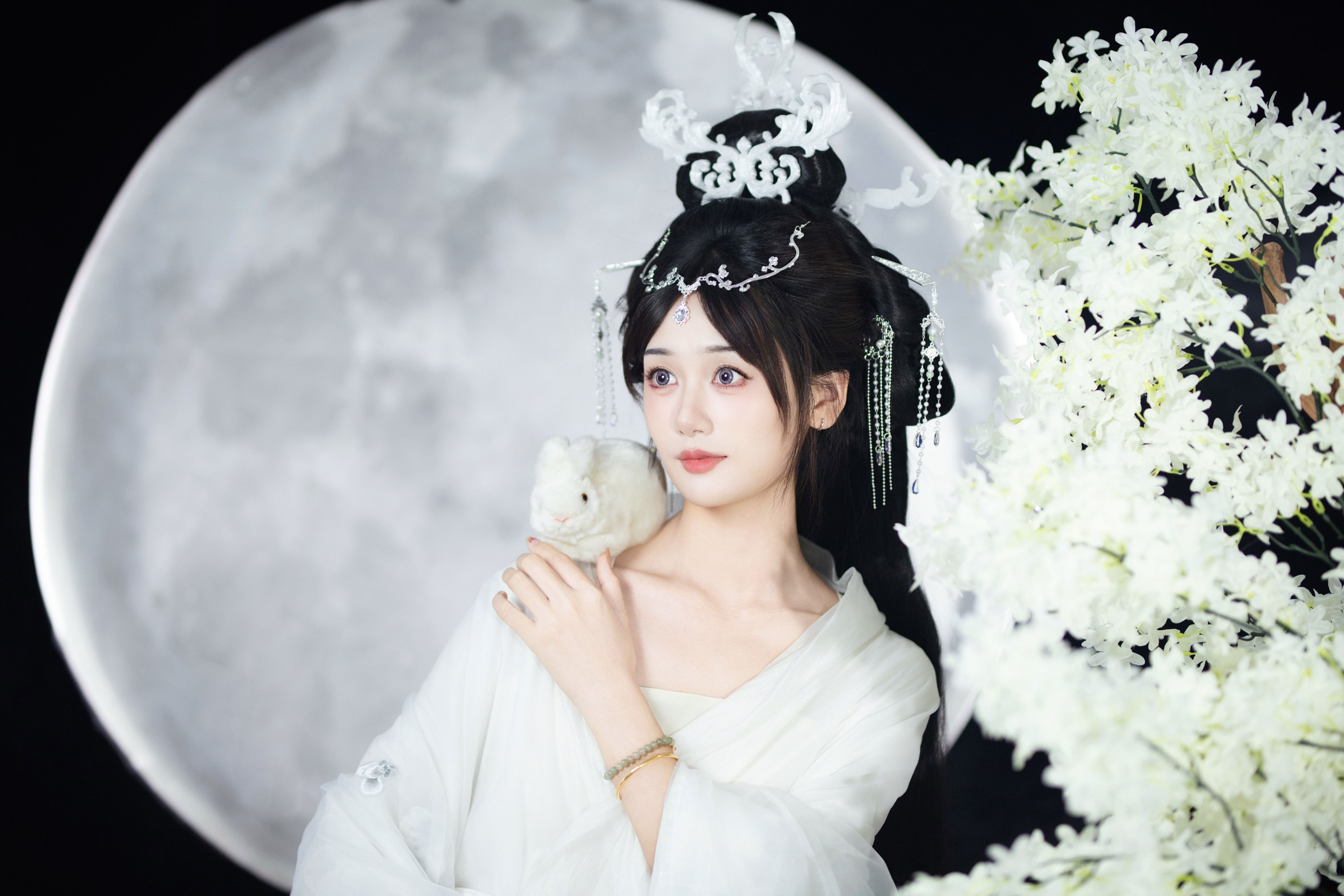 一只大大大李子 – 《嫦娥》[28P] 插图3