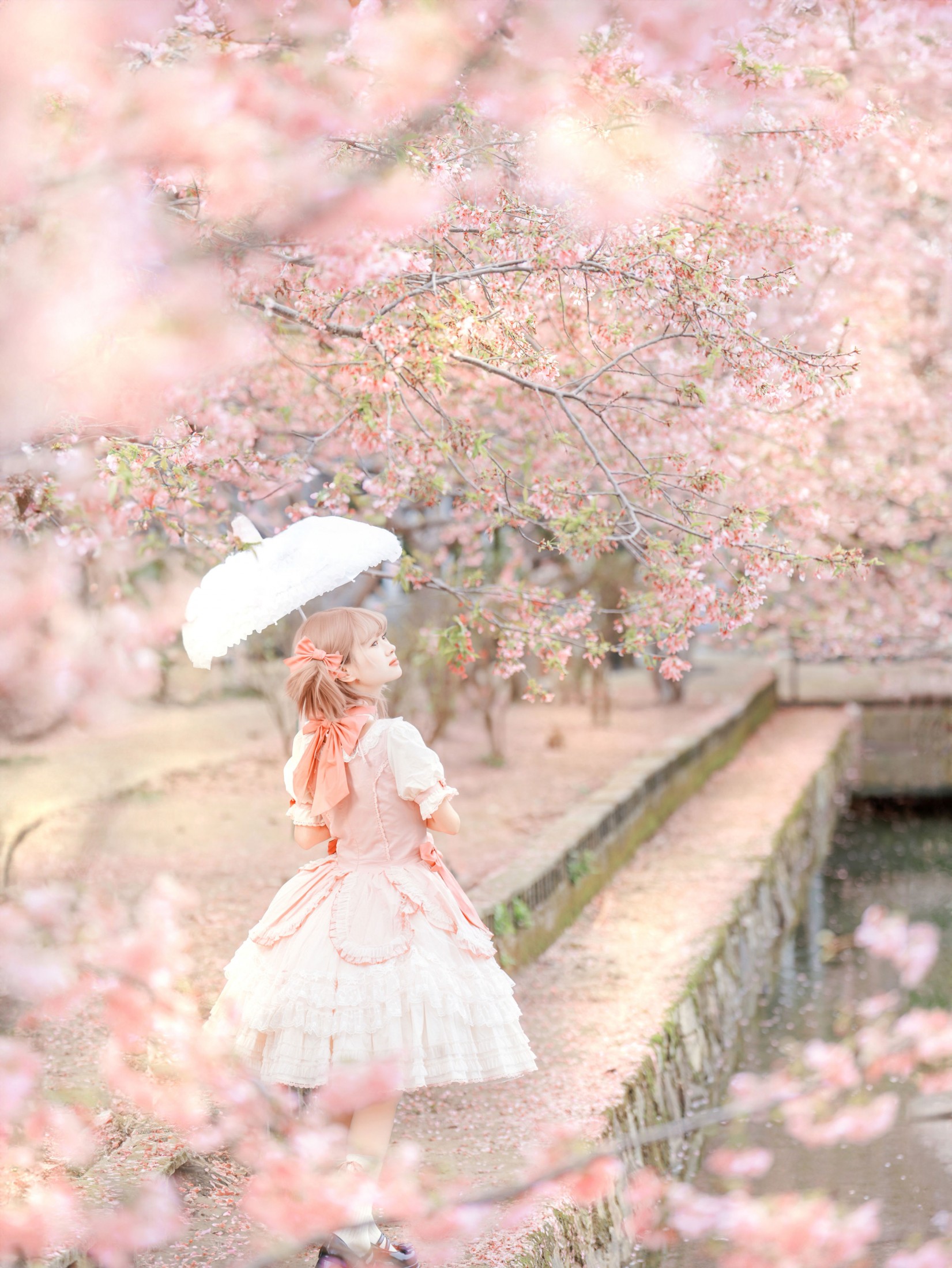 暴躁的果酱大爷 – 《日系樱花人像拍摄》[19P] 插图3