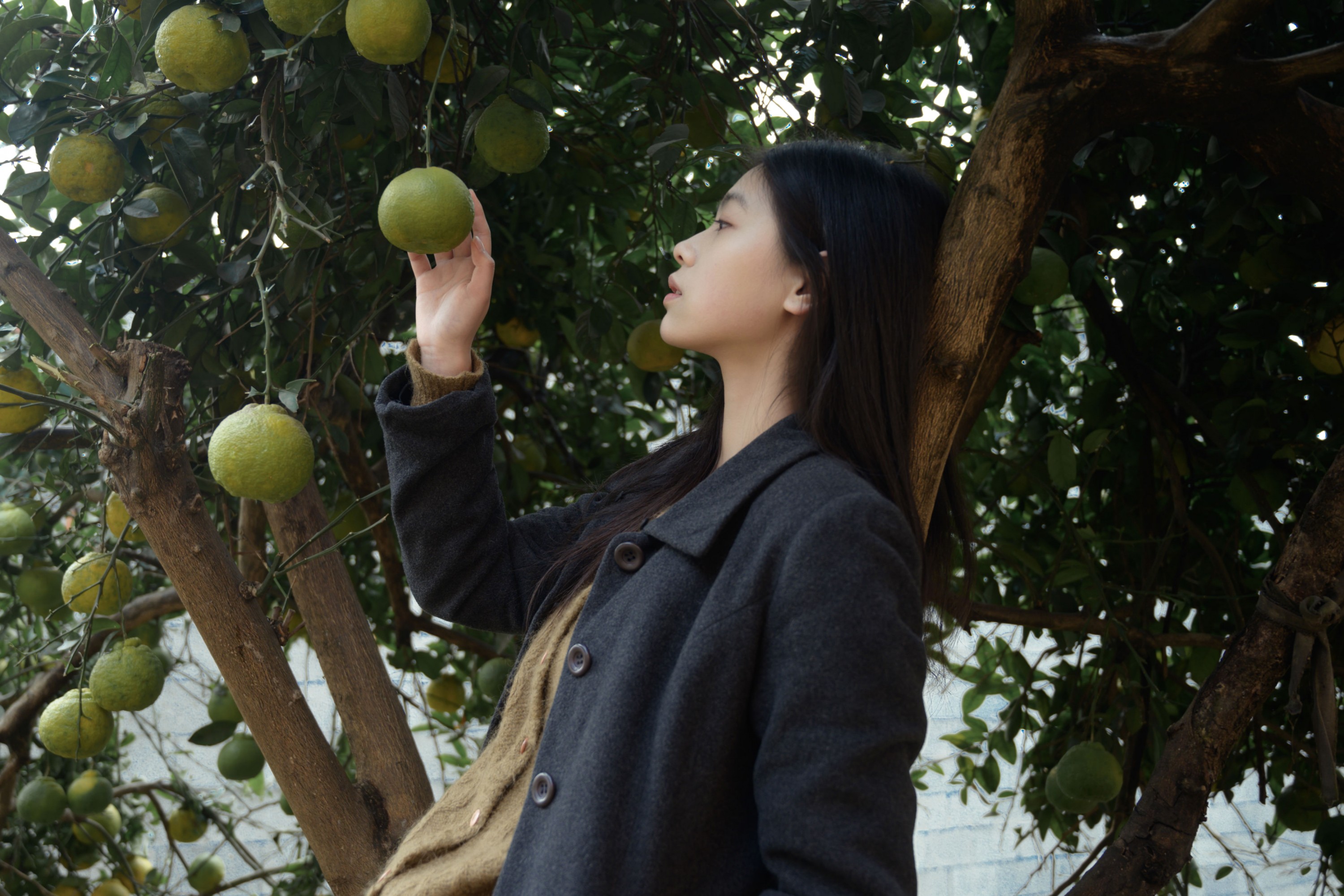 – 《果子》[17P]-66COS
