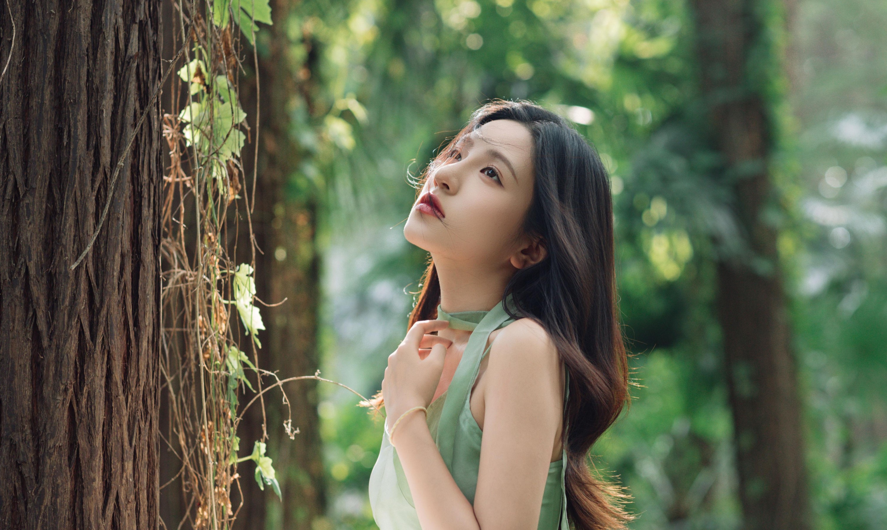 豆皮 – 《绿野仙踪》[15P] 插图2