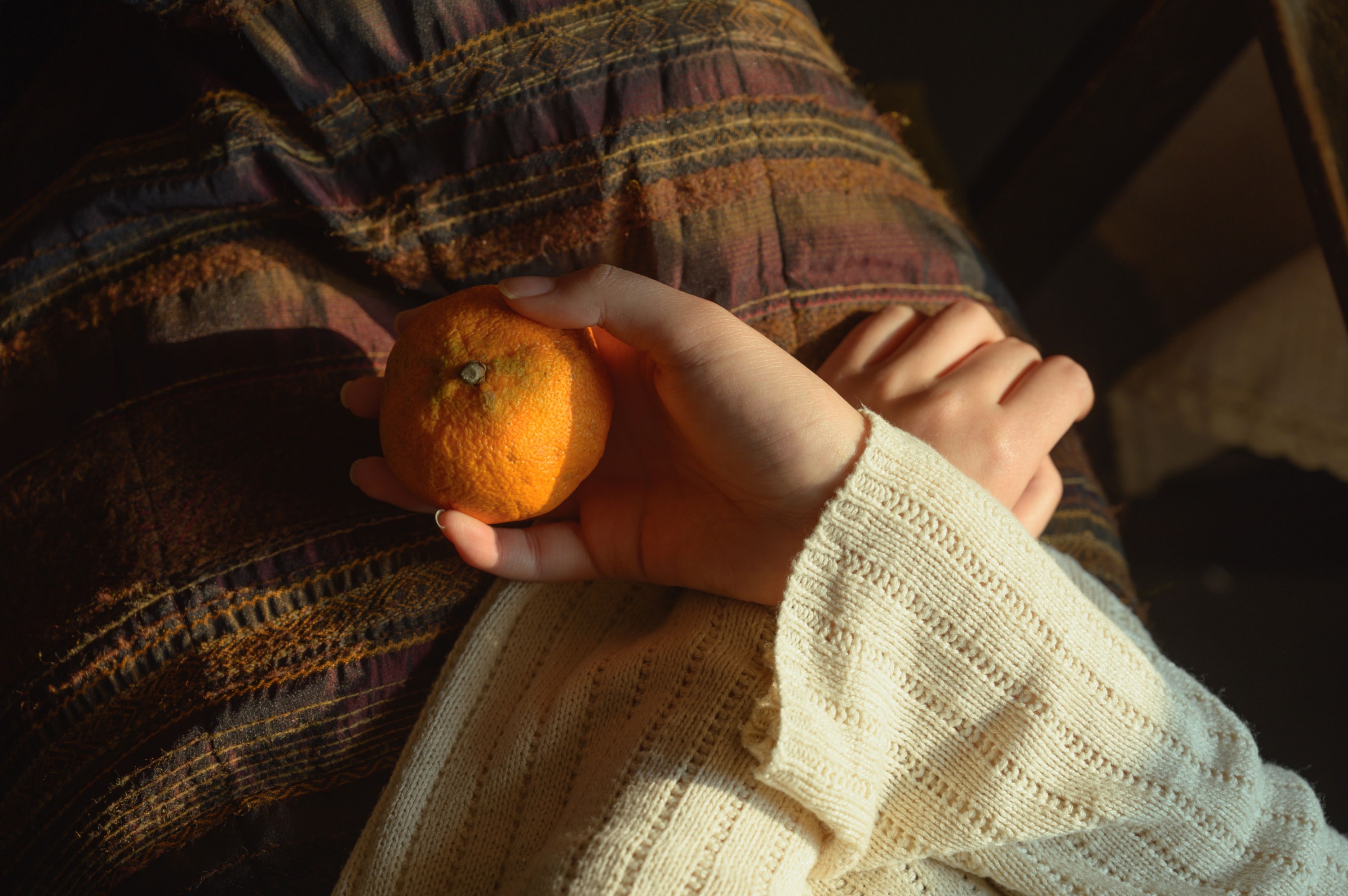  – 《暗室的光》[20P] 插图3