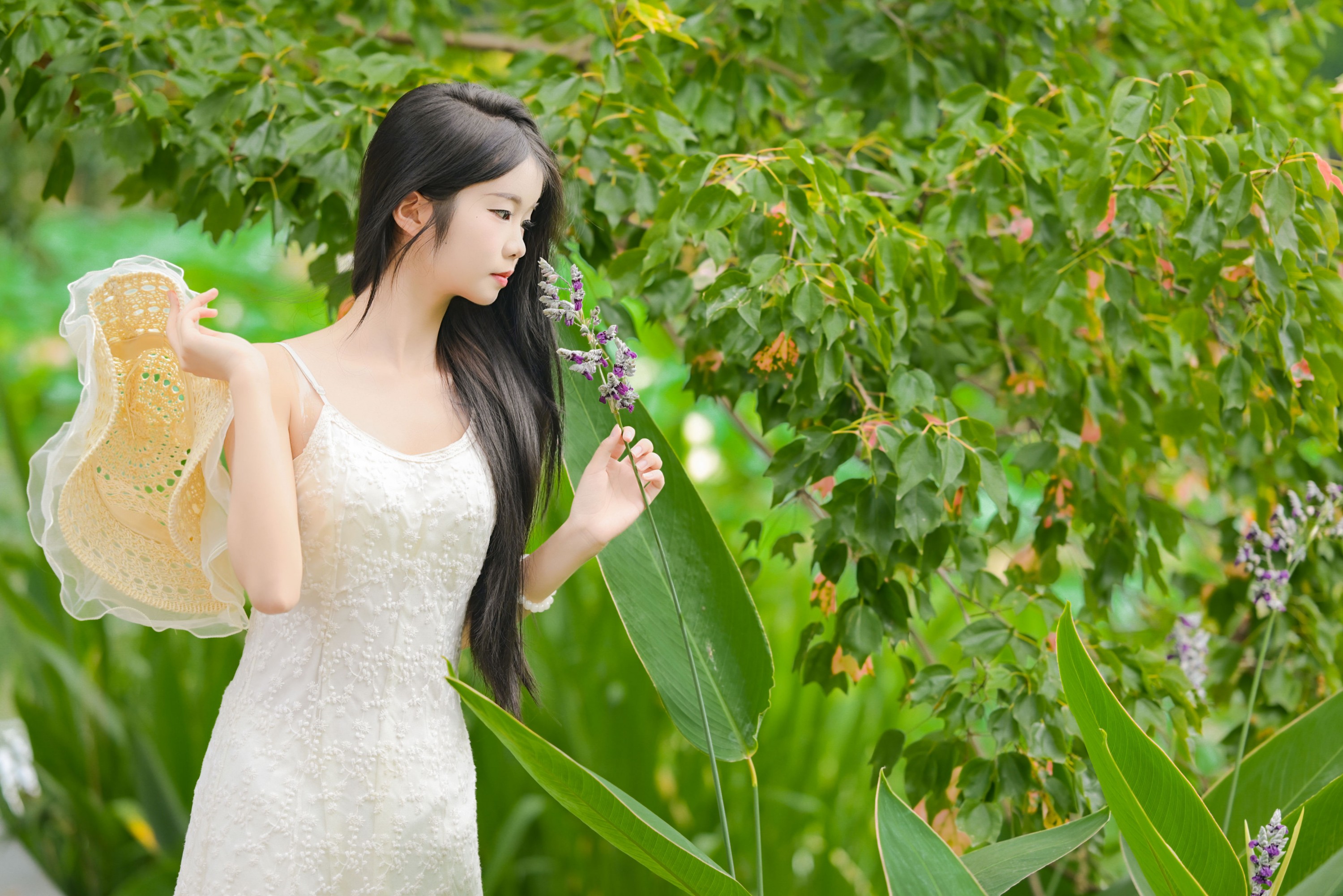 艾青 – 《菁菁芳华》[26P] 插图3