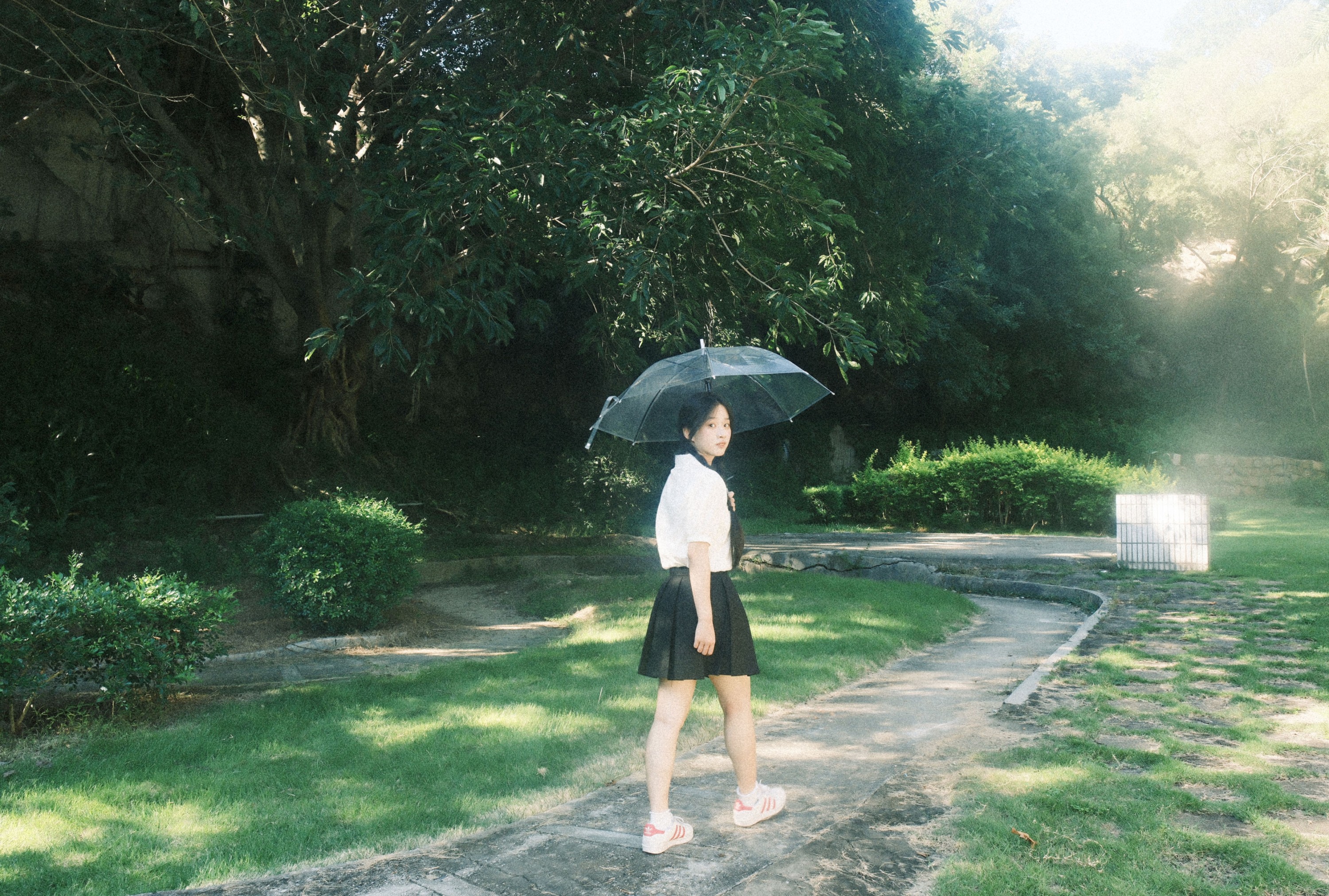  – 《人们为何总是为绿色着迷》[9P] 插图5