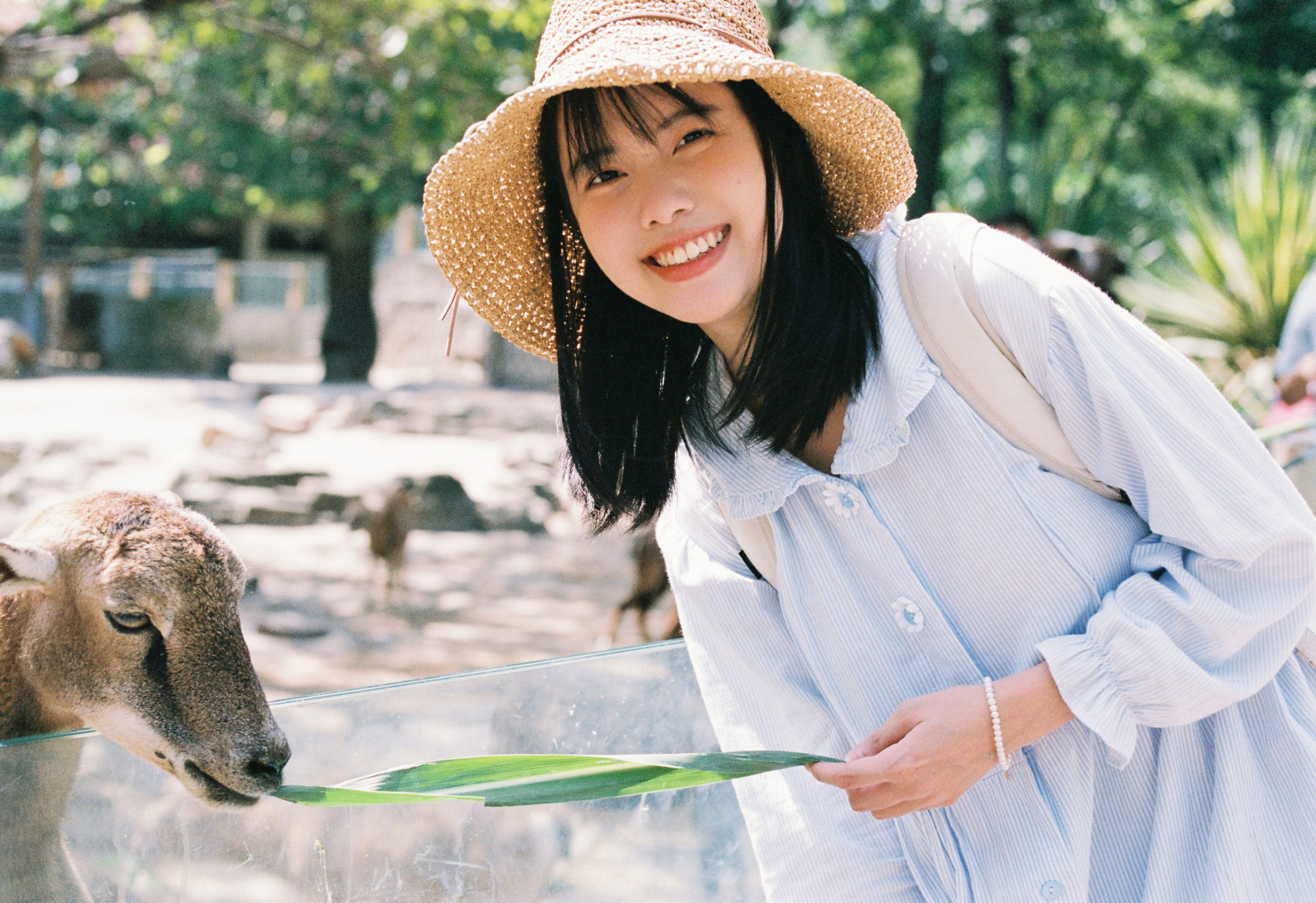 脆脆鲨甜掉牙- – 《动物园游记》[10P] 插图3