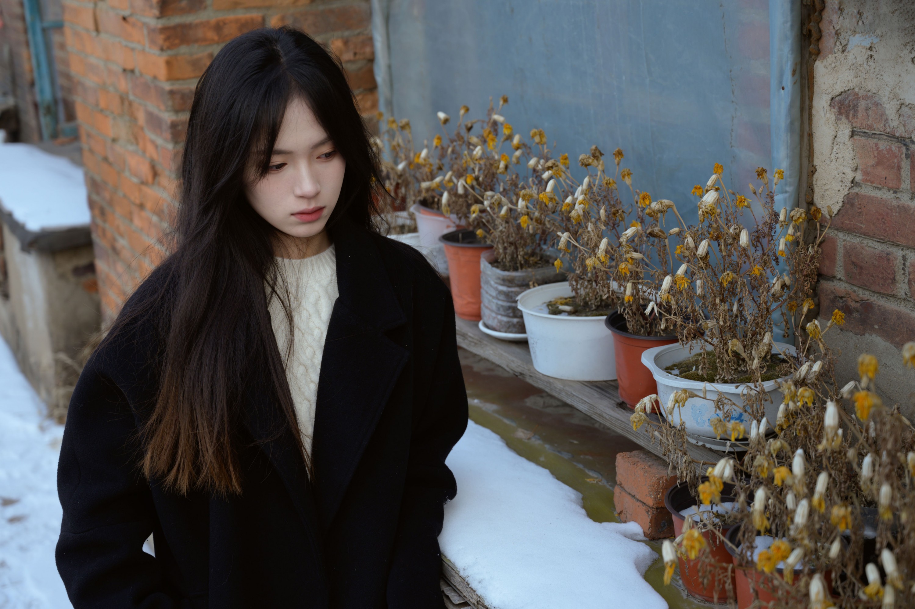 – 《老城区》[15P]-66COS