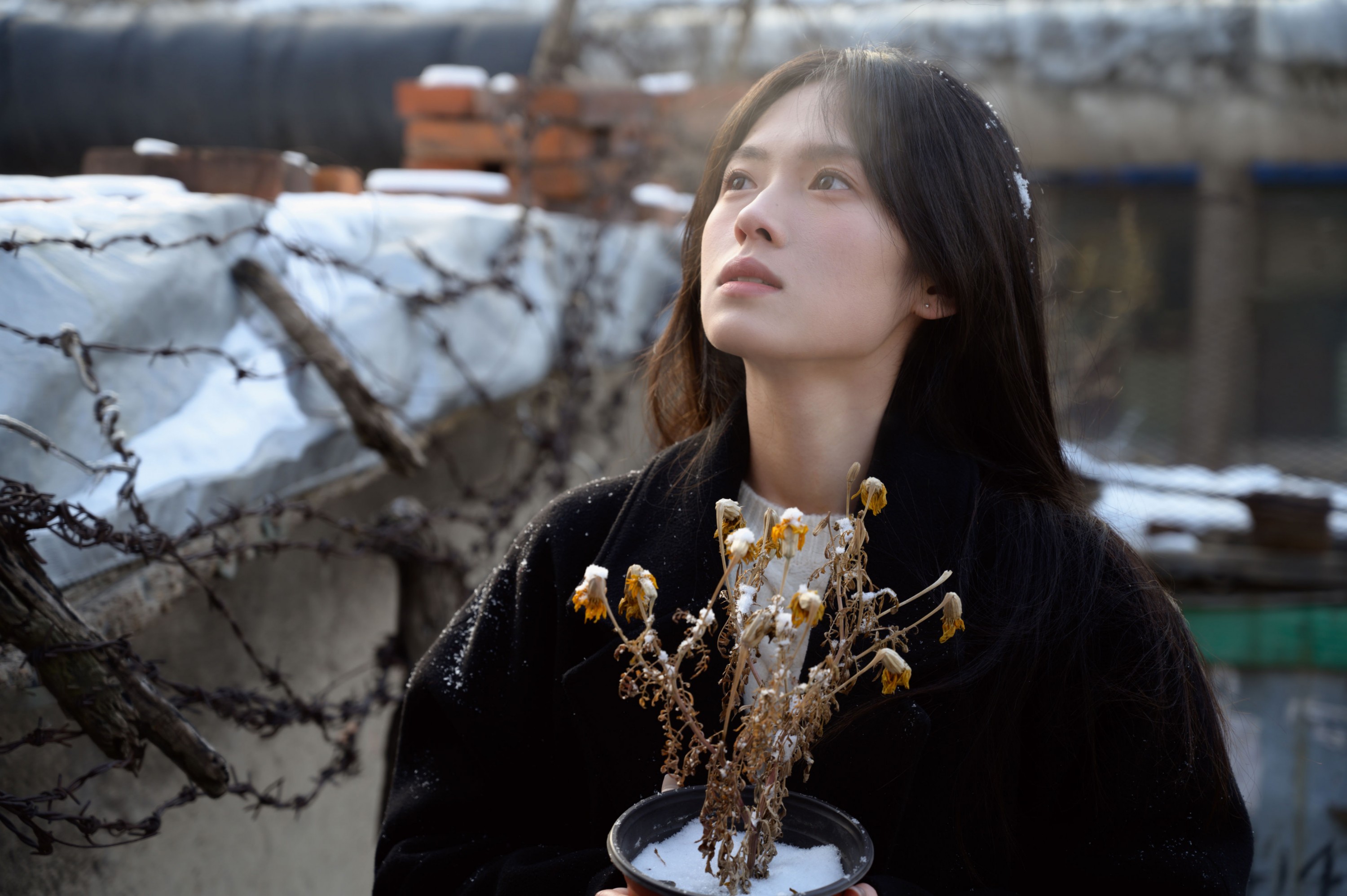  – 《老城区》[15P] 插图3