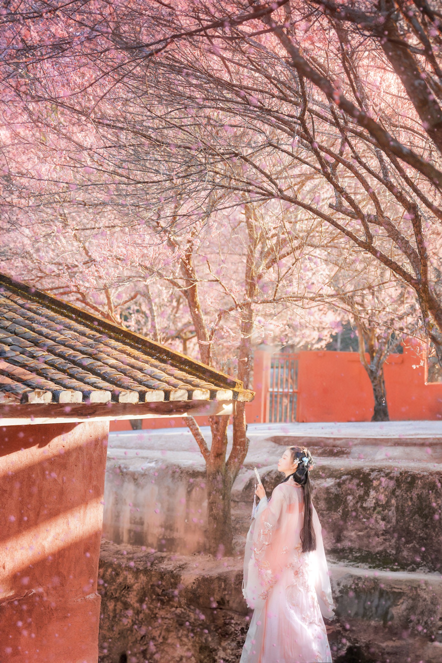 卿莫07 – 《梅花古风人像拍摄》[22P]-66COS