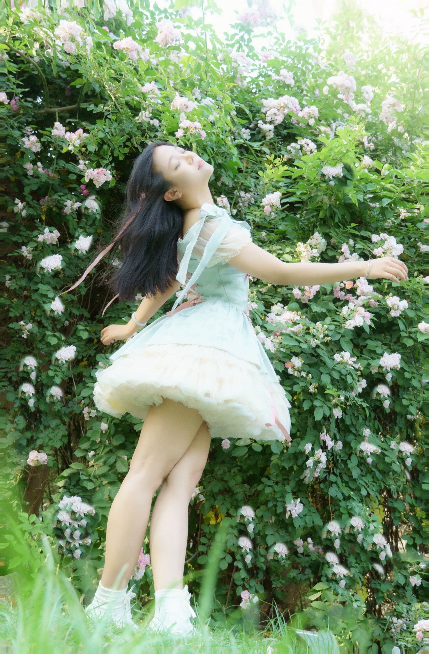 – 《蔷薇之夏》[11P]-66COS