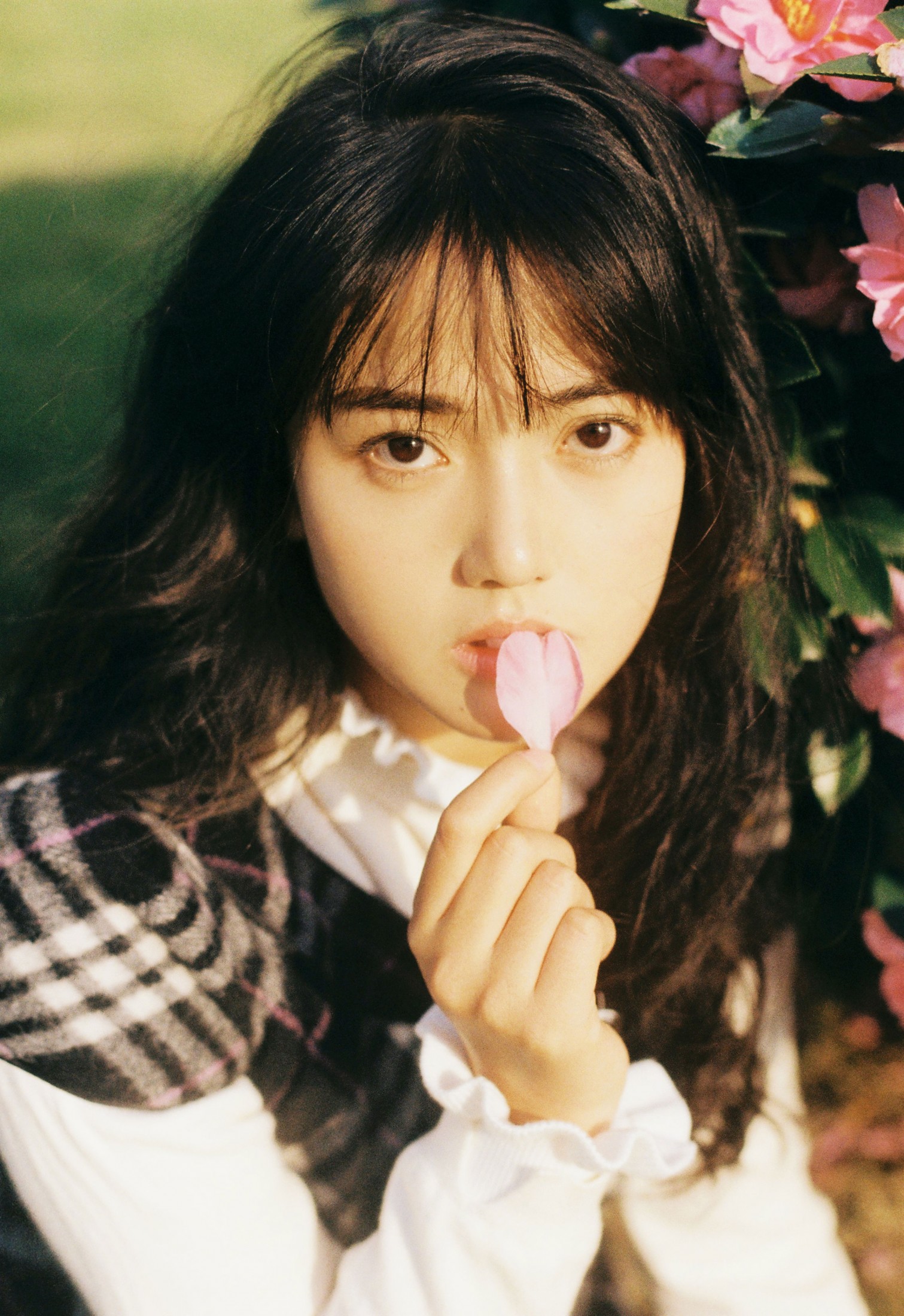 爆毛绵羊 – 《温暖又闪亮》[26P] 插图3