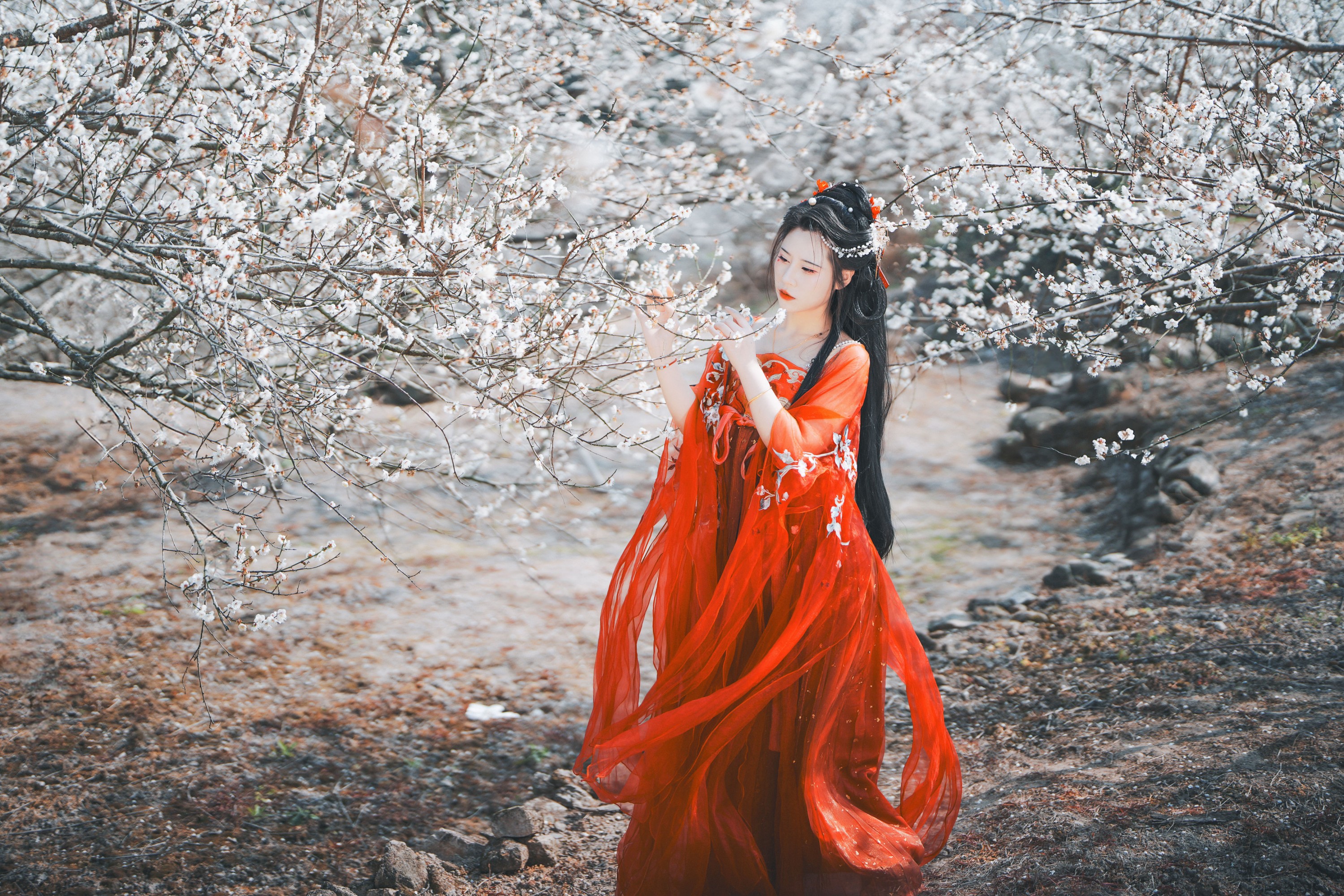 浅月没有月 – 《梅花古风人像拍摄》[18P] 插图5