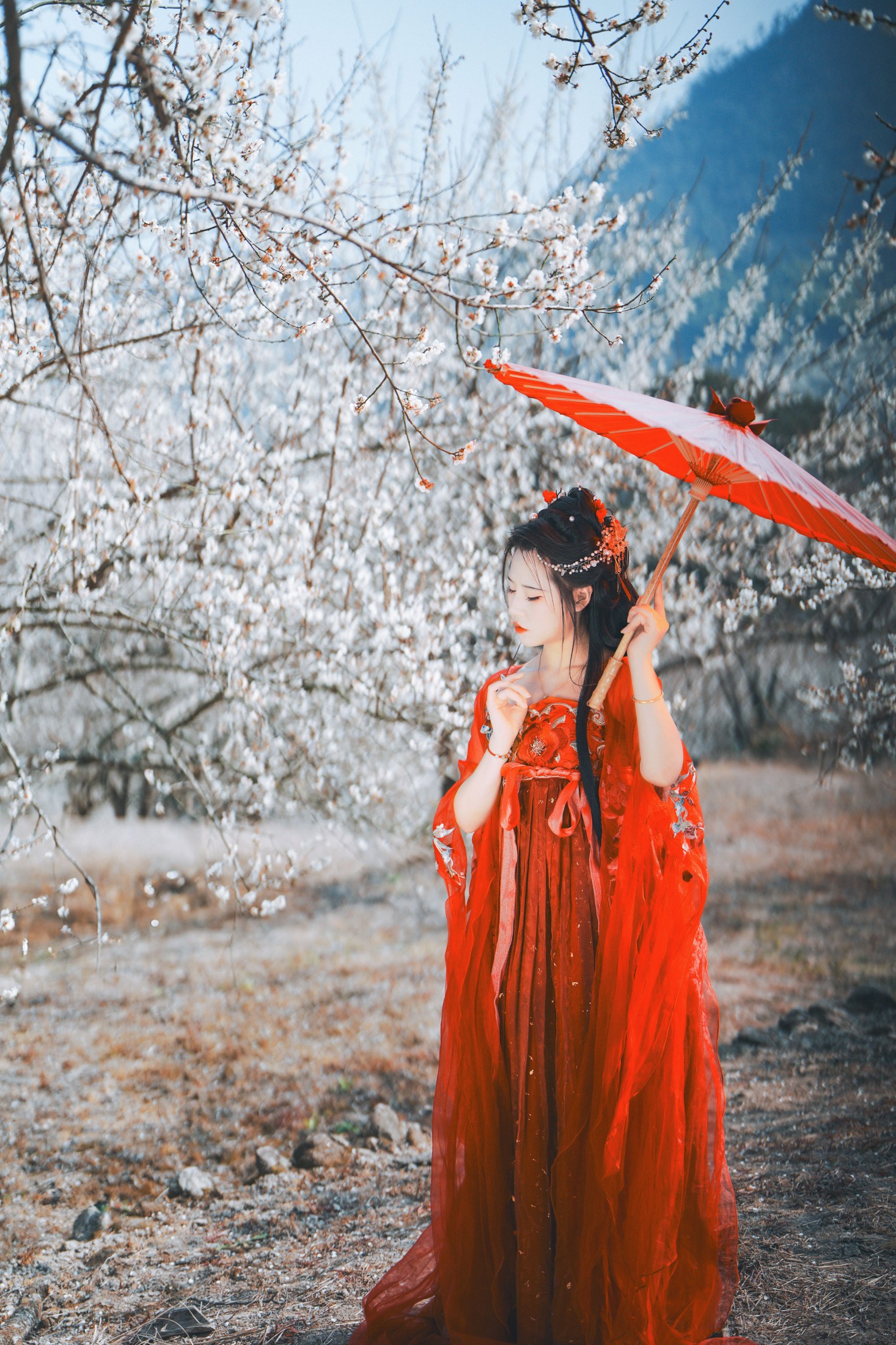 浅月没有月 – 《梅花古风人像拍摄》[18P] 插图4