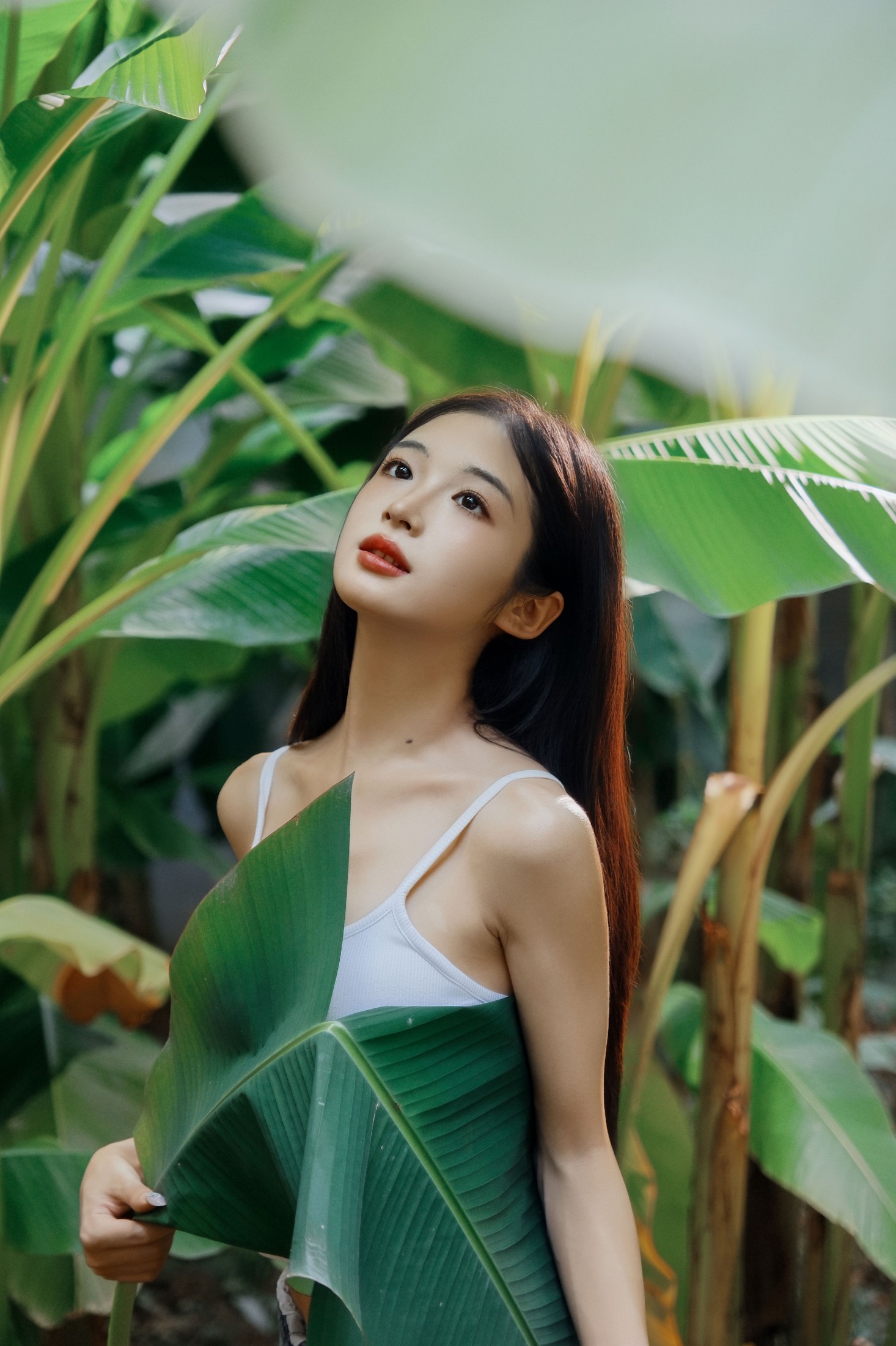 蝴蝶 – 《芭蕉叶下的邂逅》[25P]-66COS