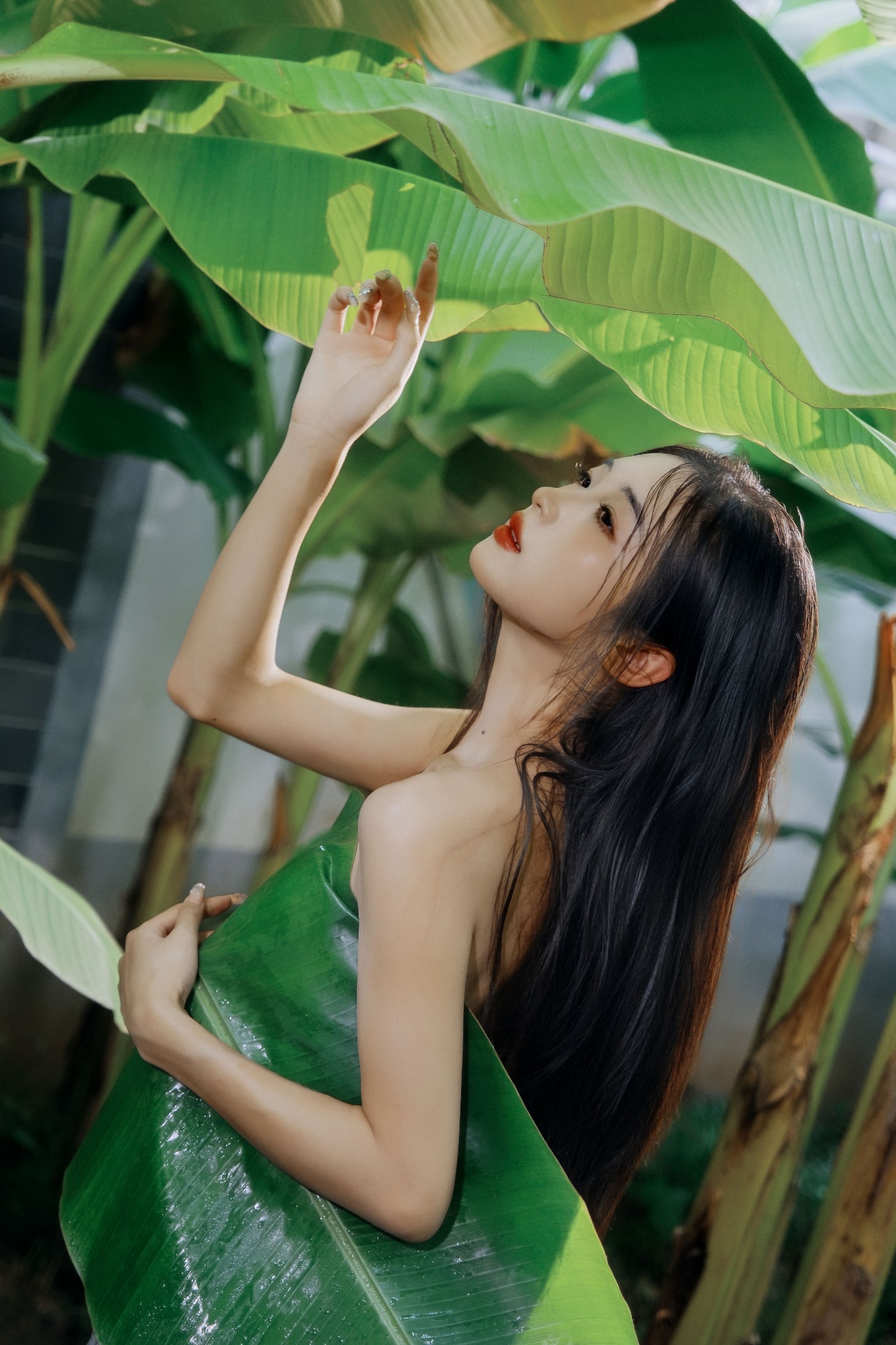 蝴蝶 – 《芭蕉叶下的邂逅》[25P] 插图5