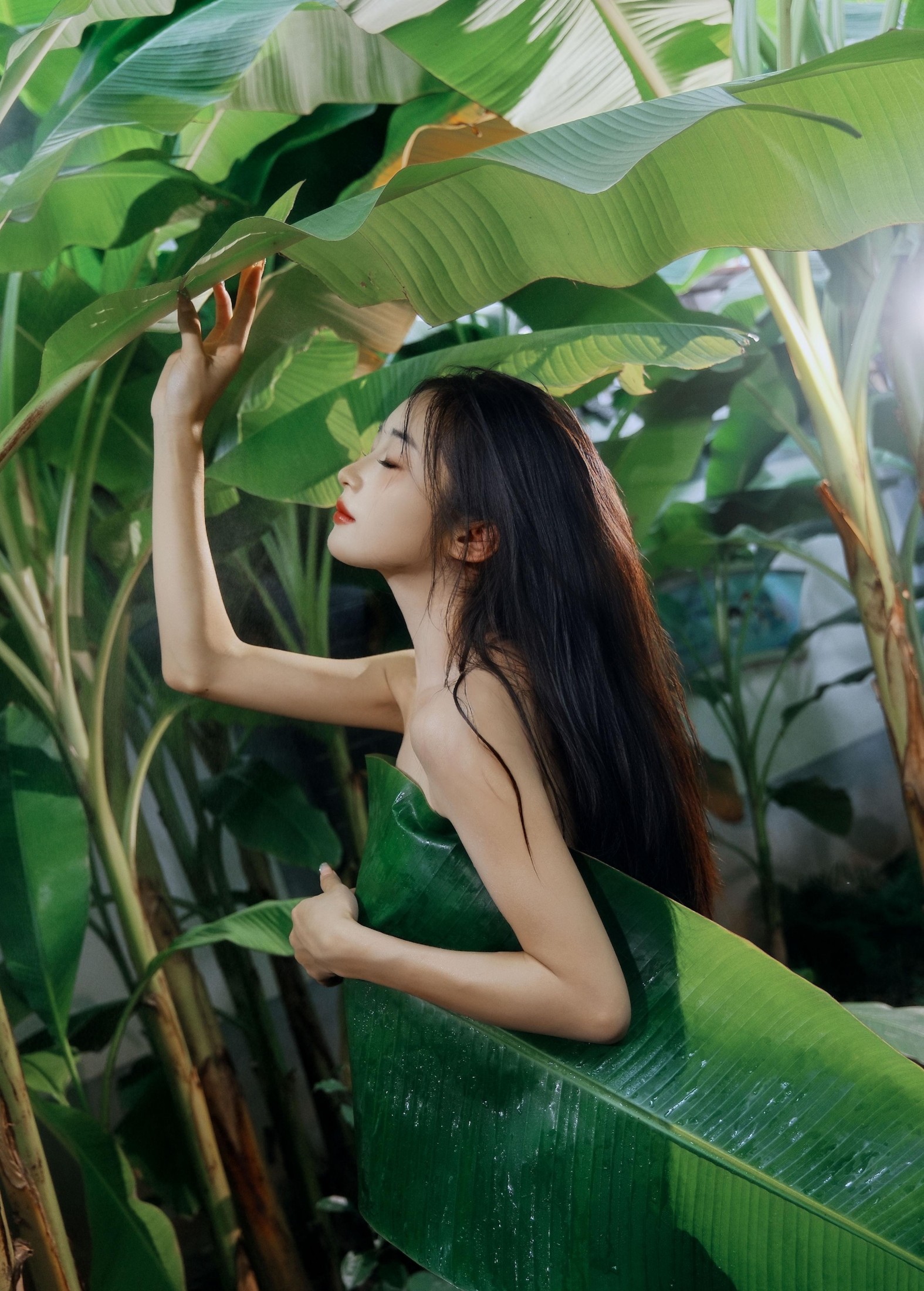 蝴蝶 – 《芭蕉叶下的邂逅》[25P] 插图2