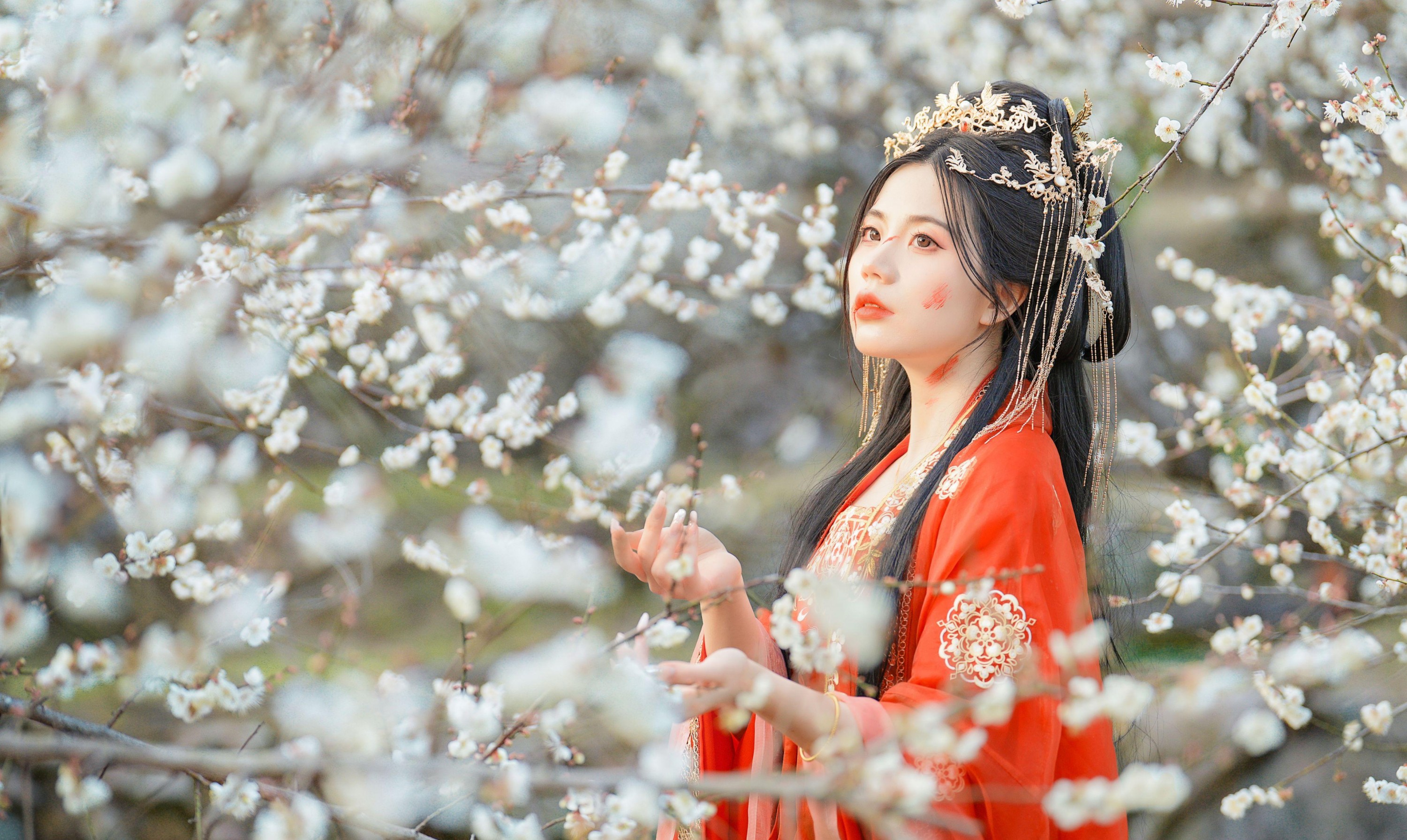 阿咩 – 《梅花古风人像拍摄》[14P] 插图2