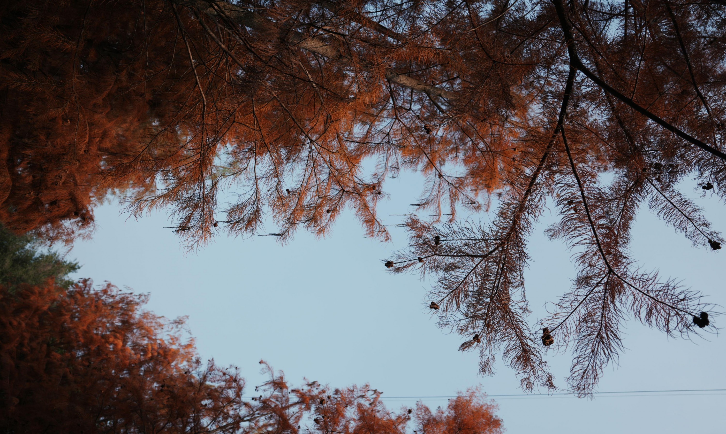 阿咩 – 《冬季人像拍摄》[14P] 插图2