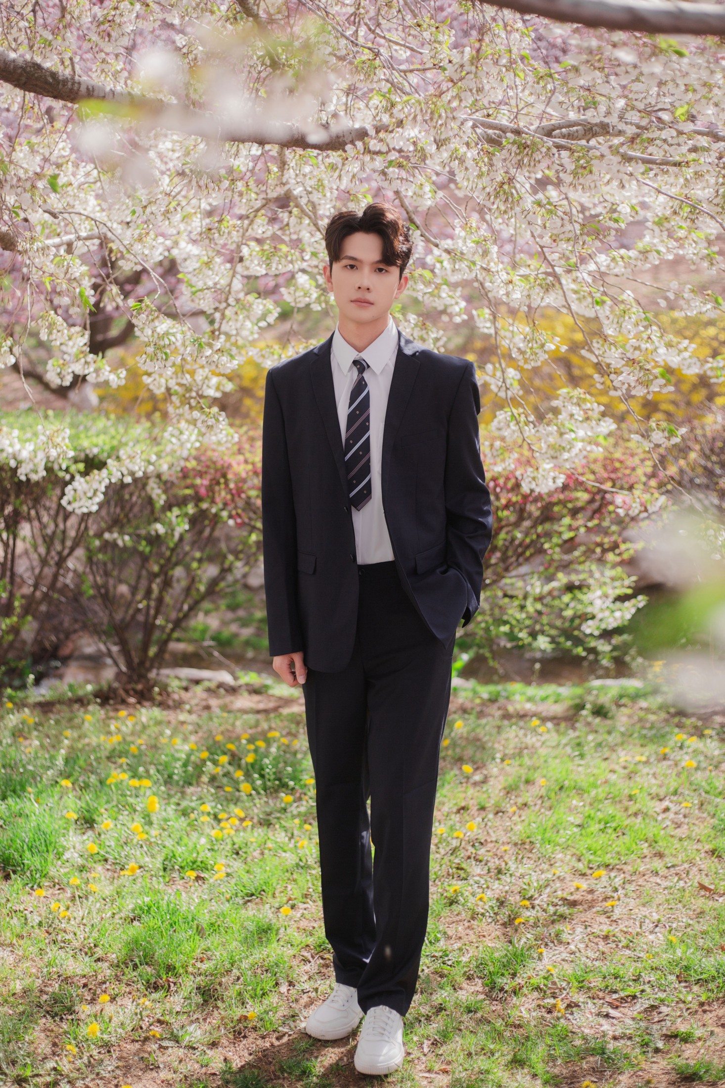 言弟弟 – 《树下樱花男孩》[28P] 插图5