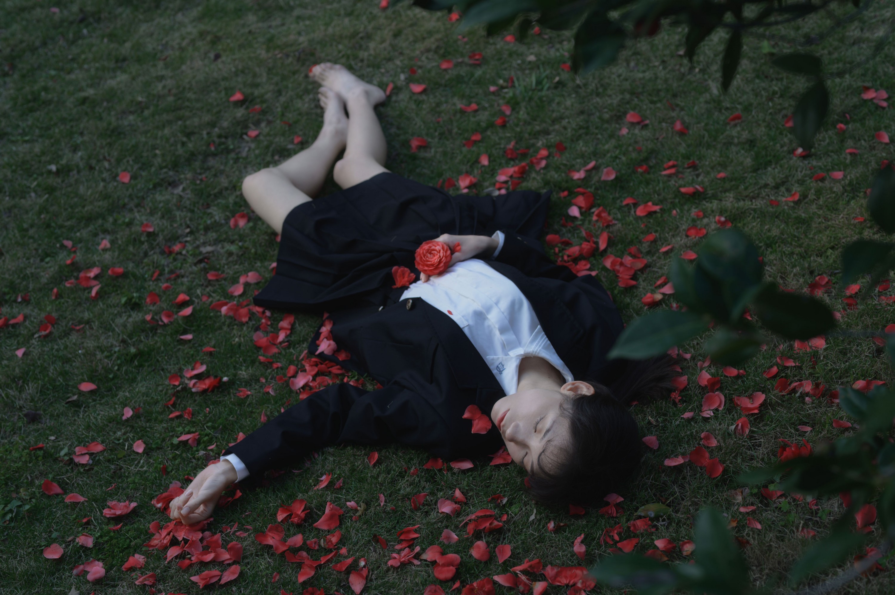 森森 – 《那年的山茶》[15P] 插图4