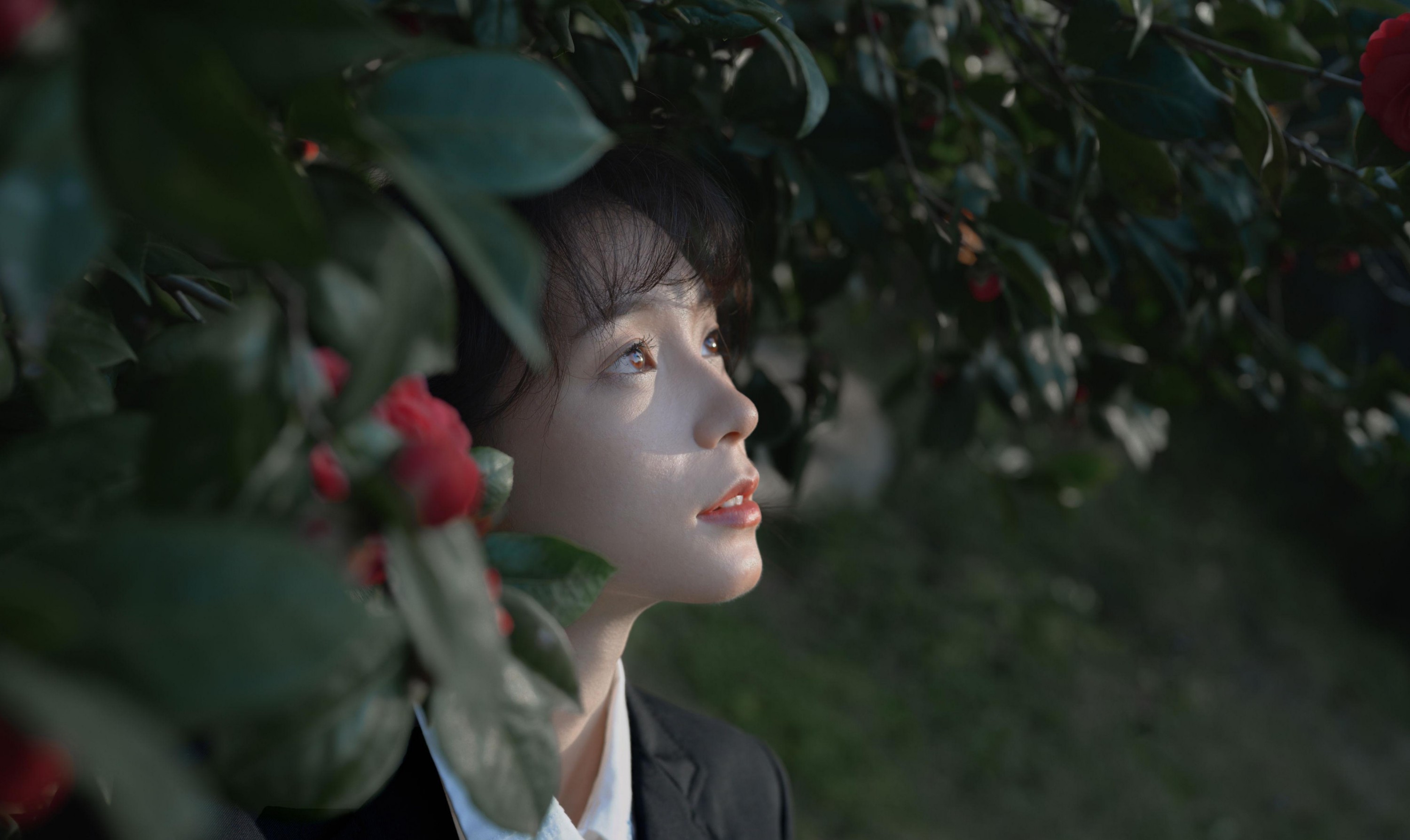 森森 – 《那年的山茶》[15P] 插图2