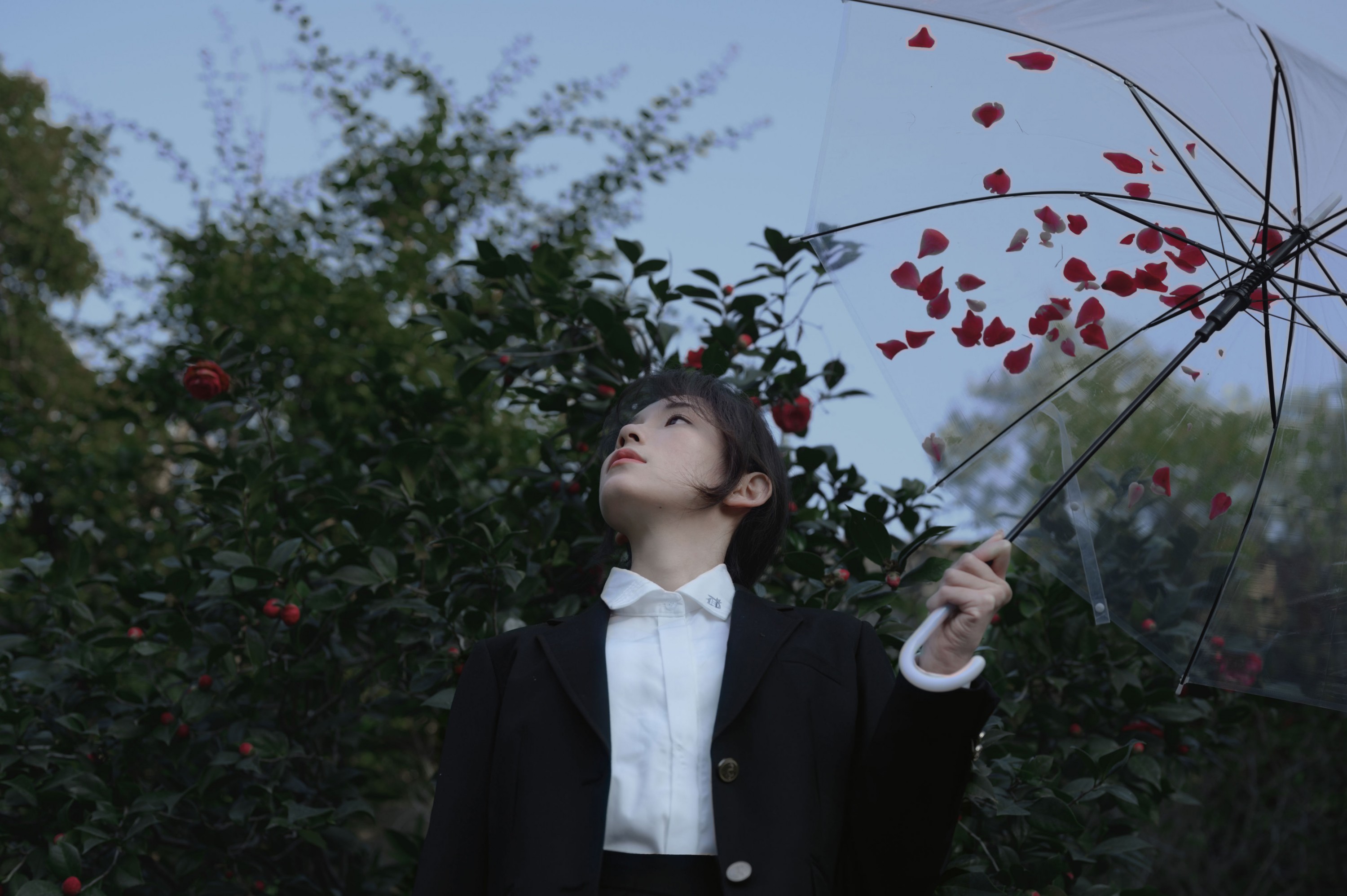 森森 – 《那年的山茶》[15P] 插图5