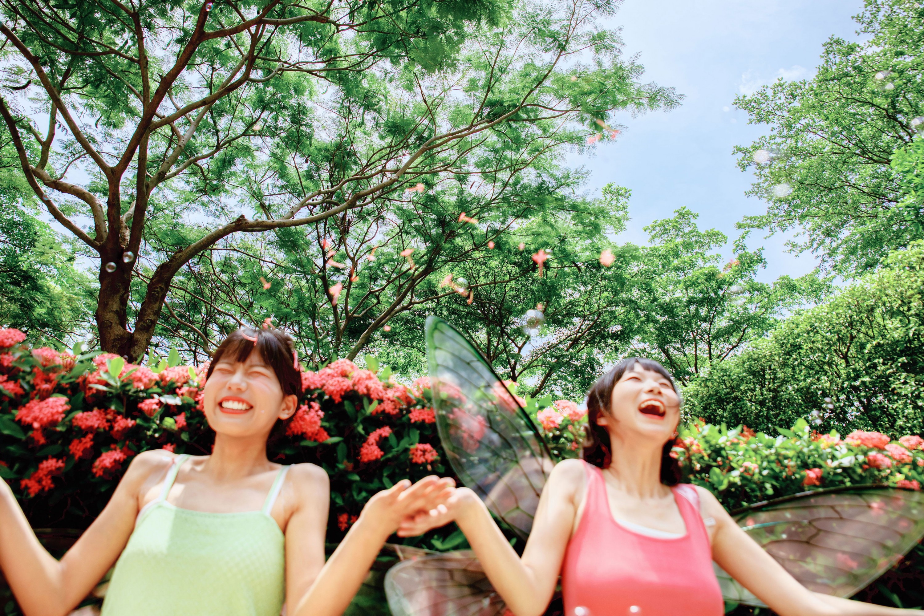  – 《精灵》[54P] 插图5