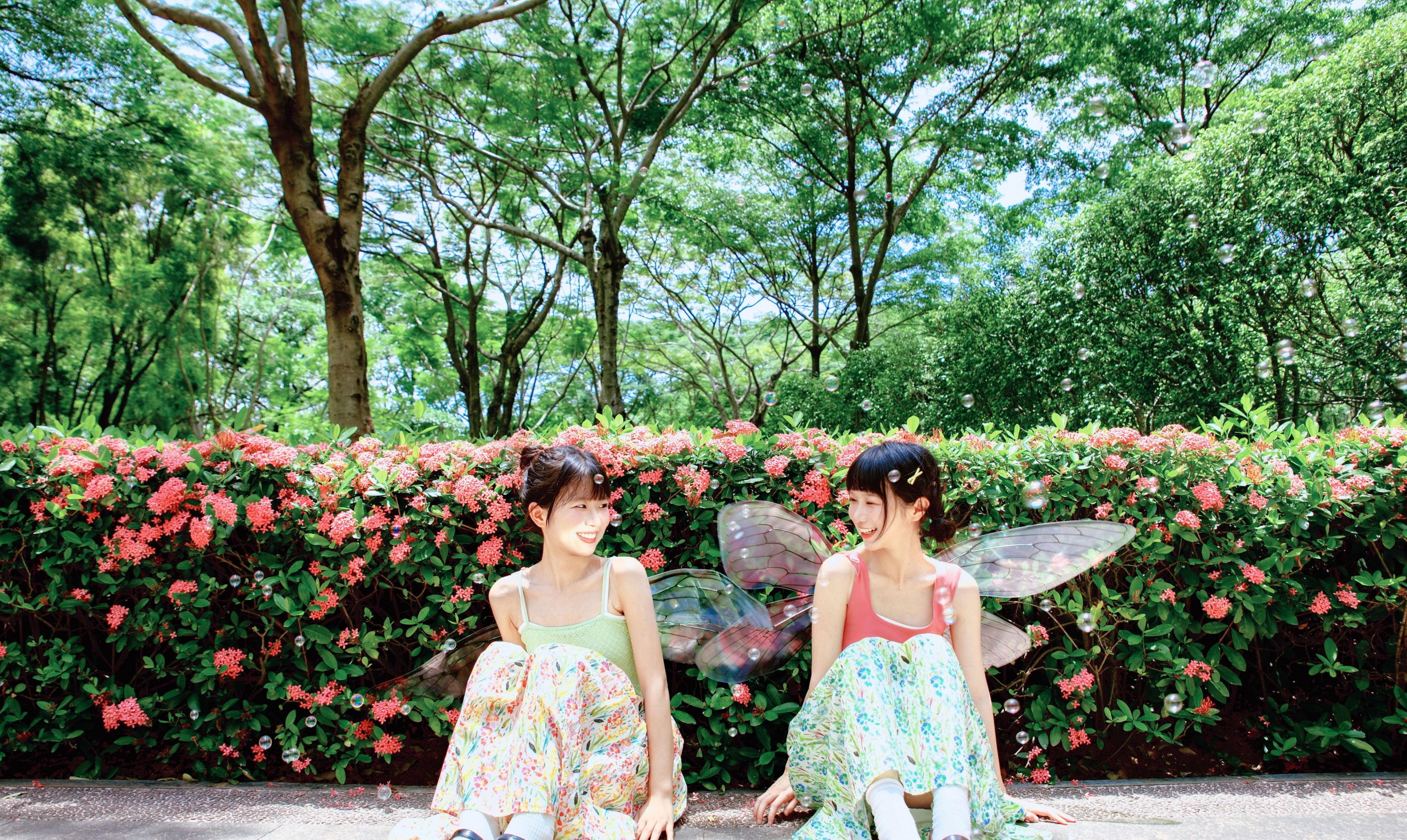  – 《精灵》[54P] 插图2