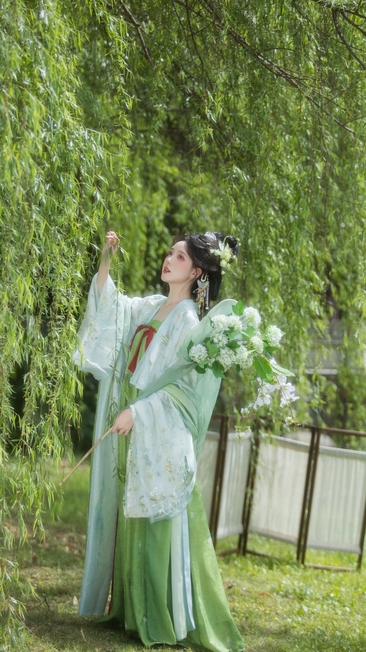 – 《杨柳依依》[13P]-66COS