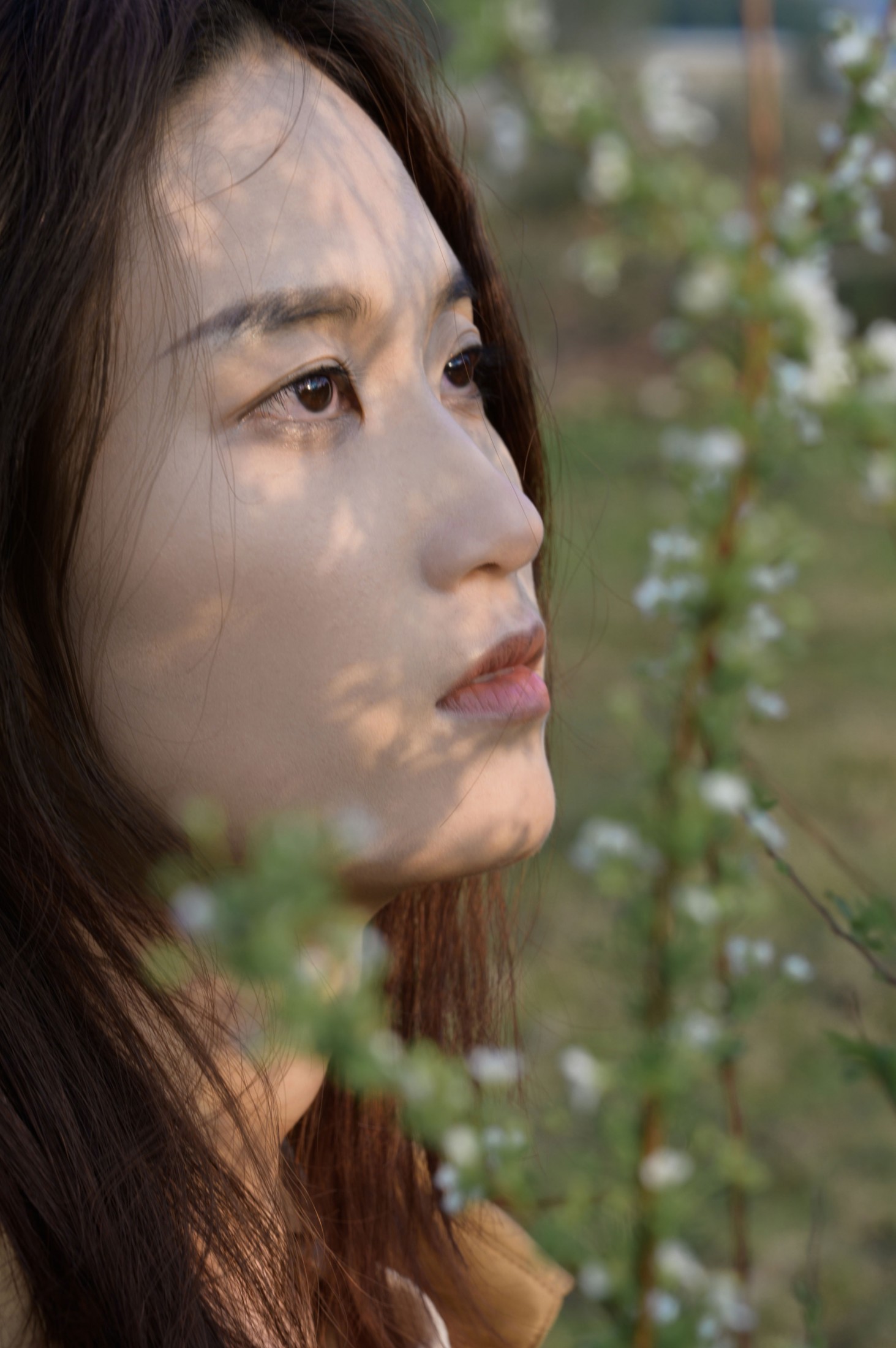  – 《日出后》[12P] 插图4