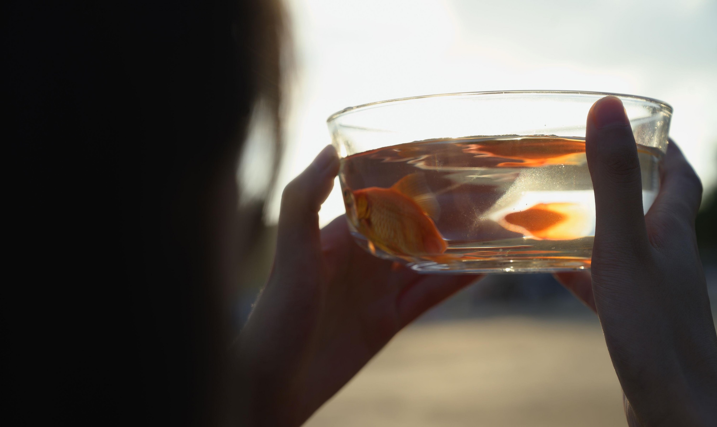  – 《海与鱼》[22P] 插图2