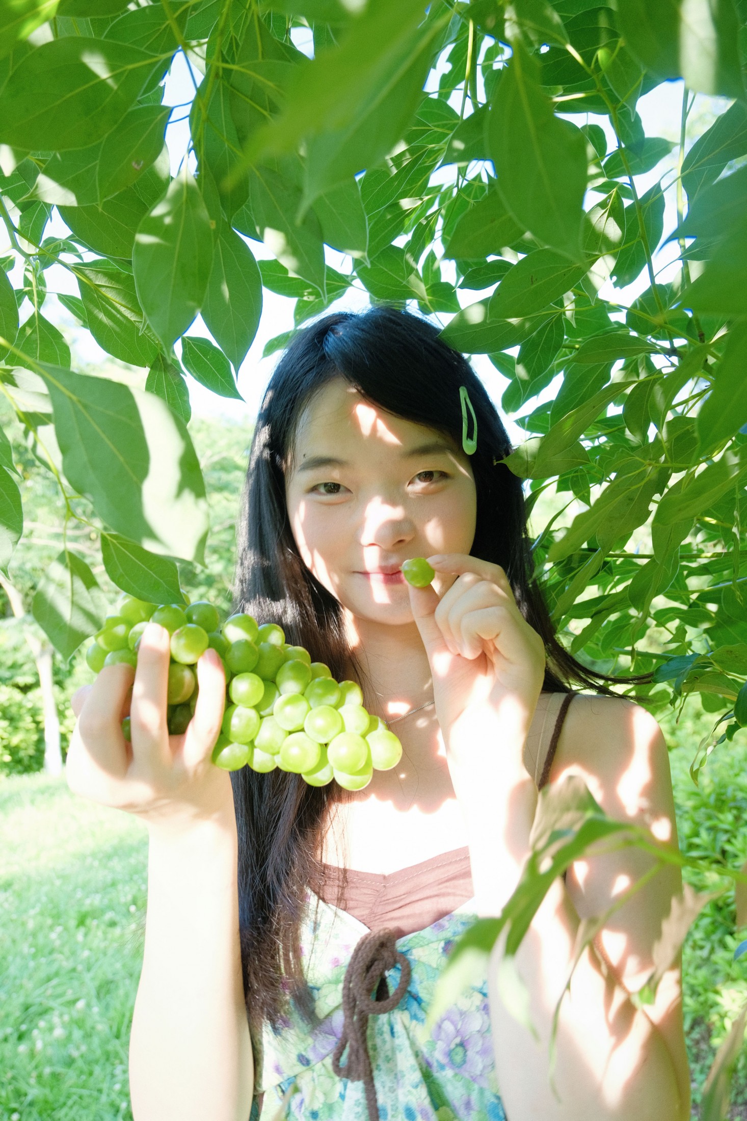 幸运汤圆 – 《夏日青提》[16P]-66COS
