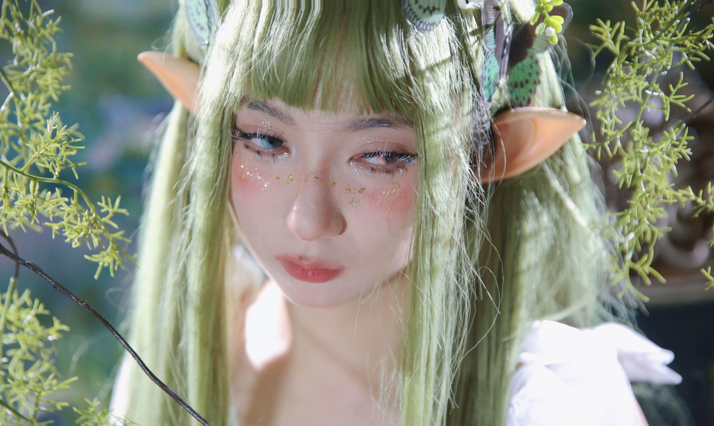  – 《绿野仙踪》[10P] 插图2