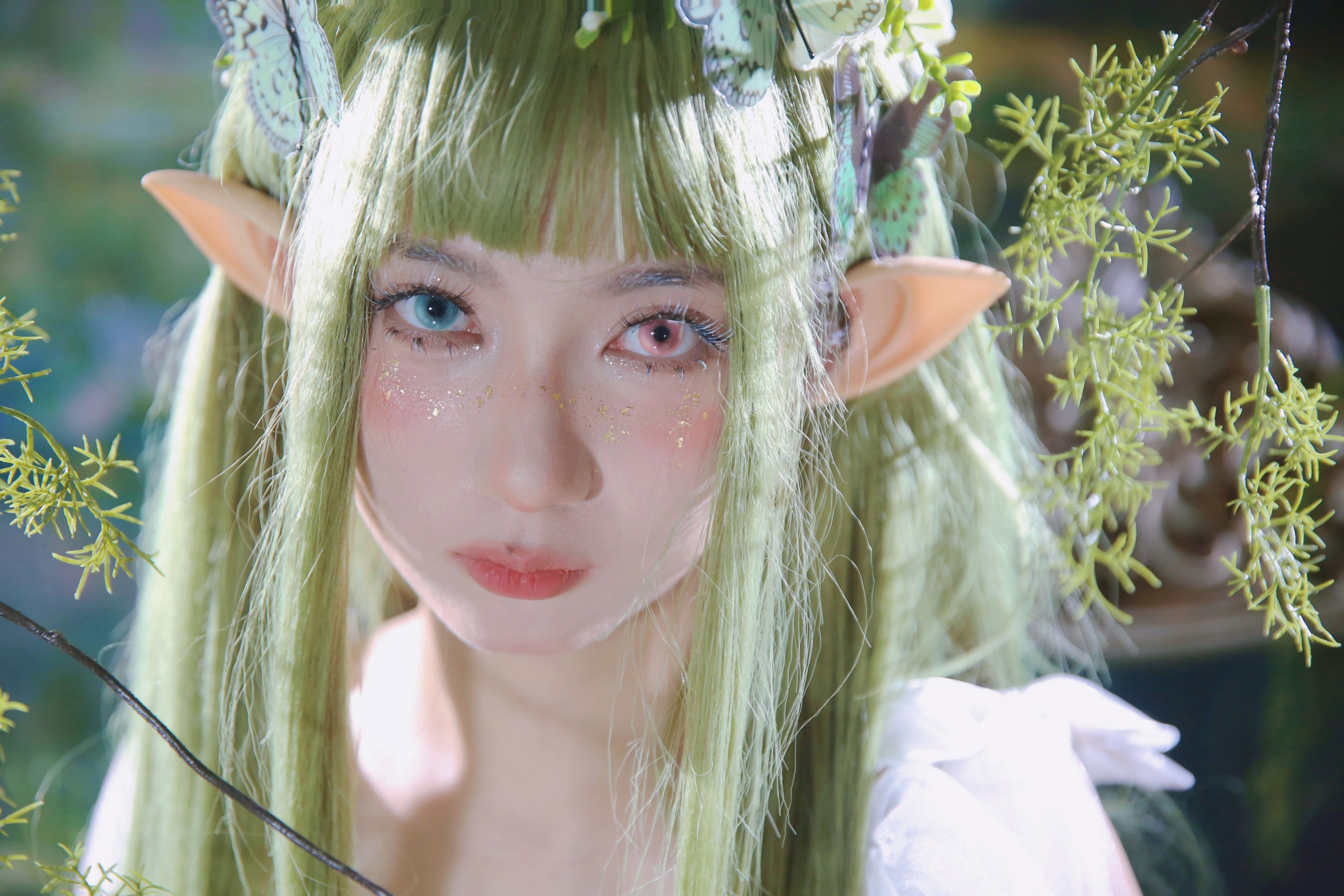 – 《绿野仙踪》[10P]-66COS
