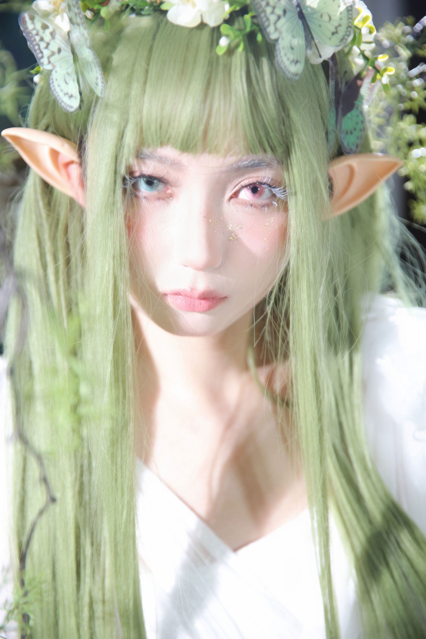  – 《绿野仙踪》[10P] 插图4