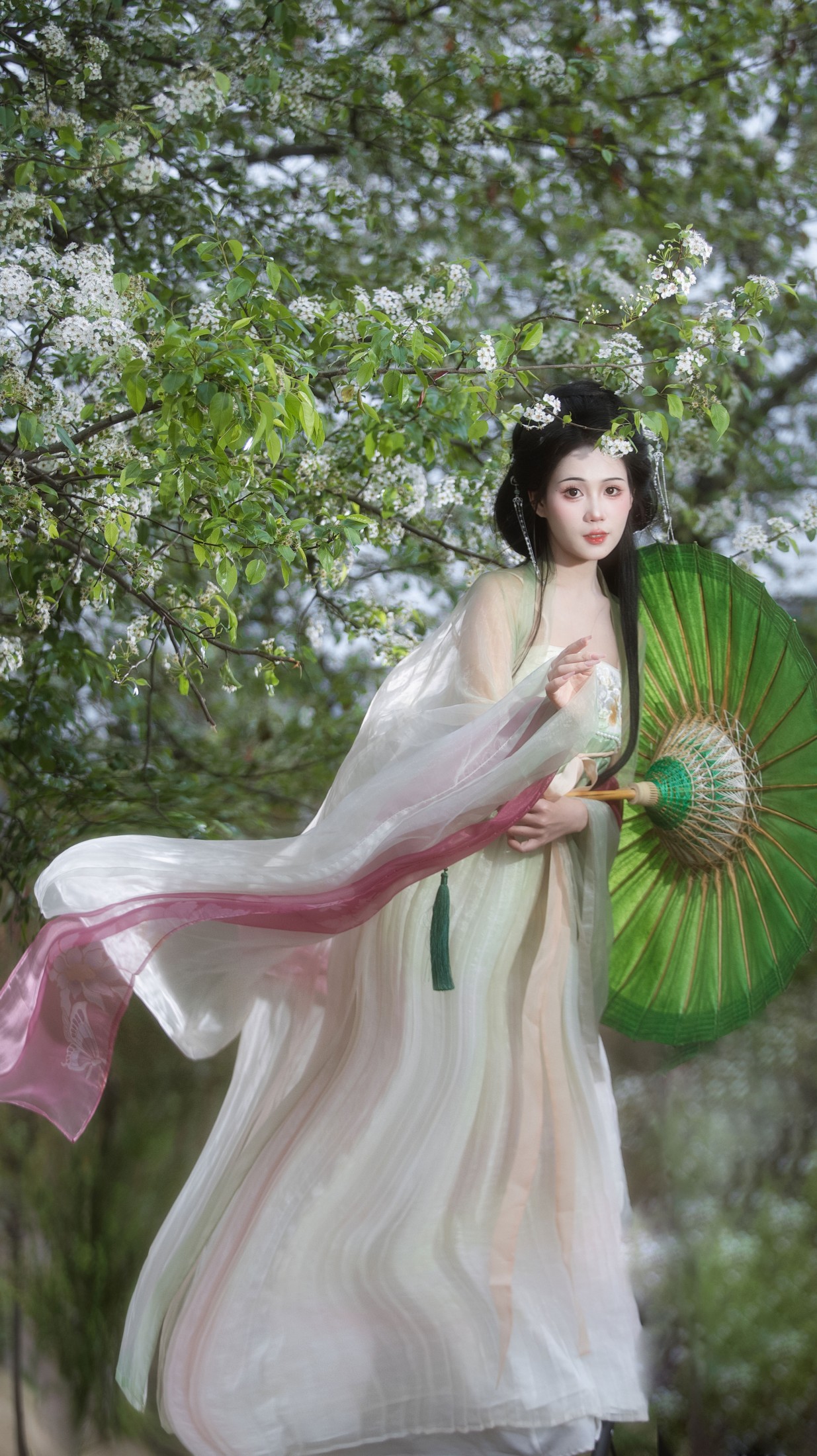 阿程程 – 《海棠未雨， 梨花先雪  》[20P] 插图4