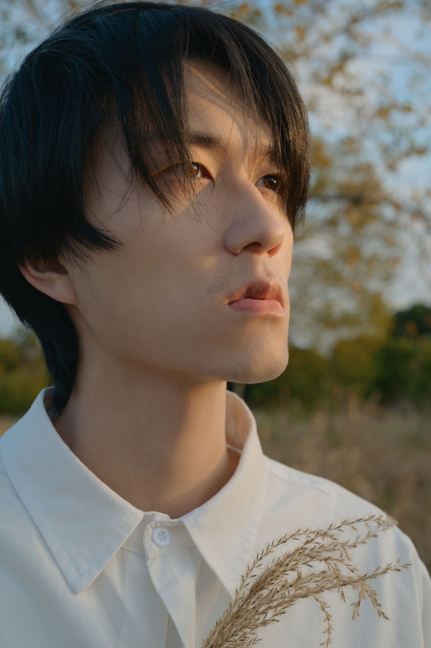  – 《深秋》[19P] 插图4